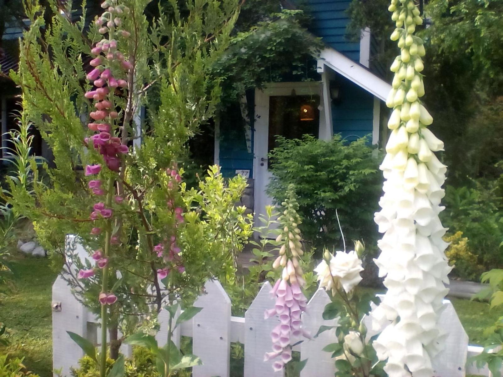 Dodo House Bed & Breakfast