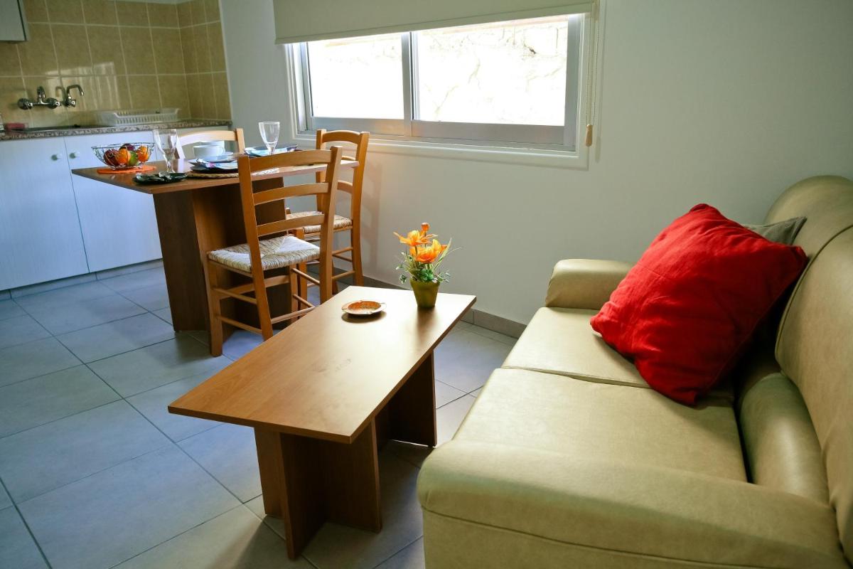 P. Ioannou Flats view 5