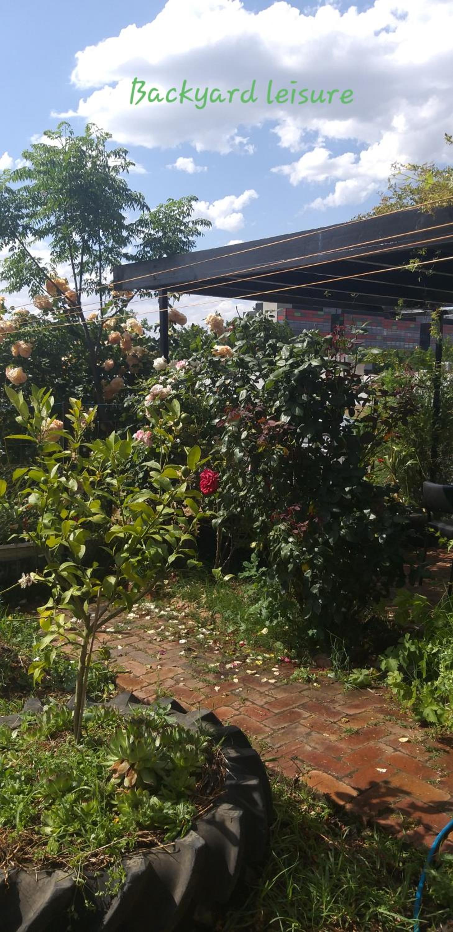 Unique CBD home