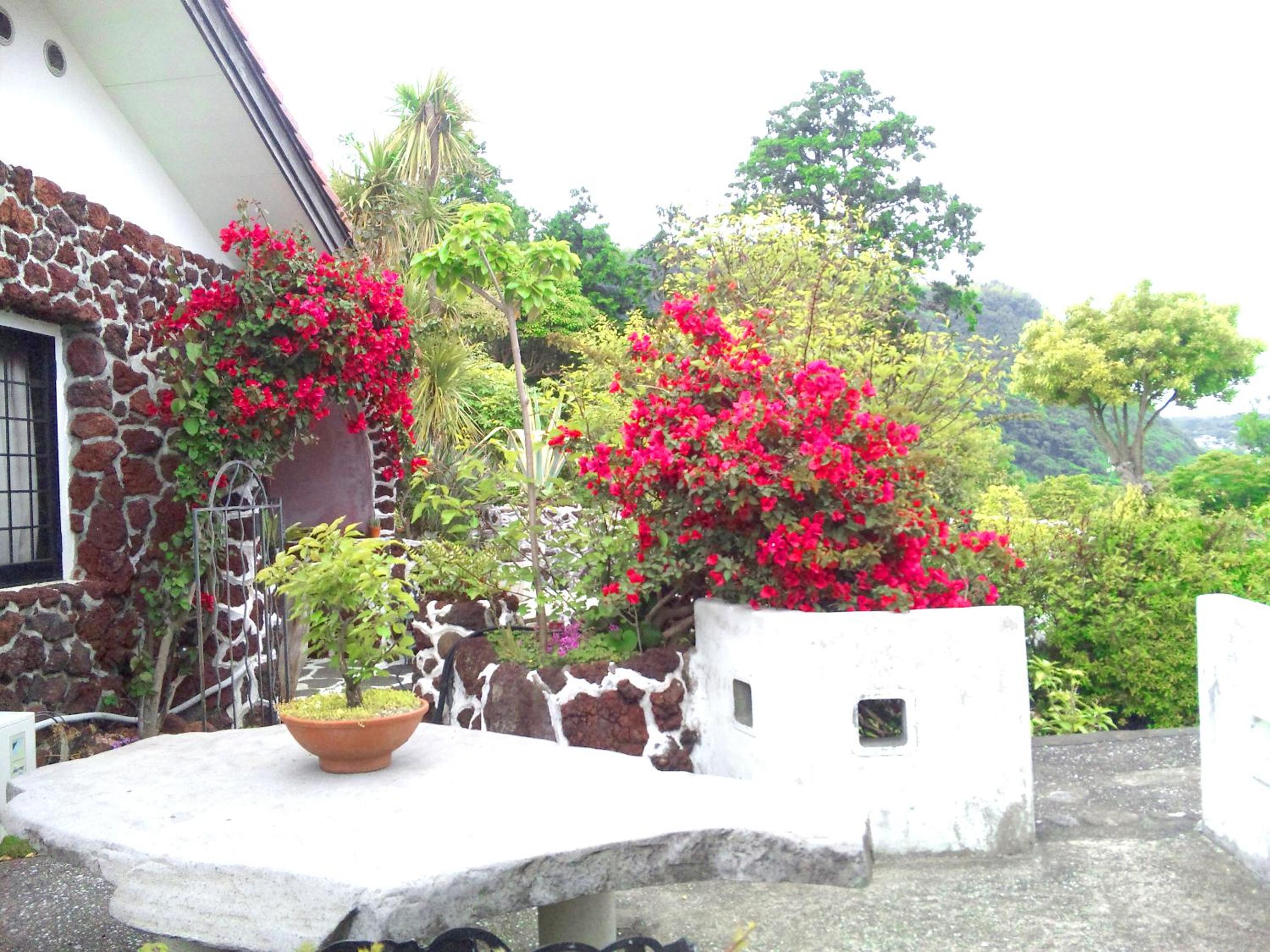 J-Garden