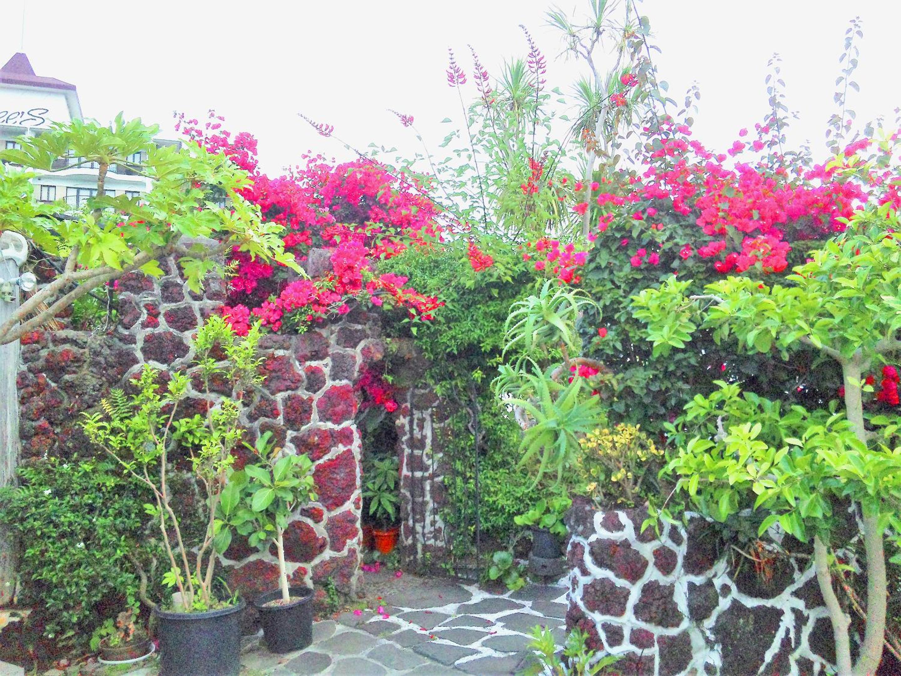 J-Garden