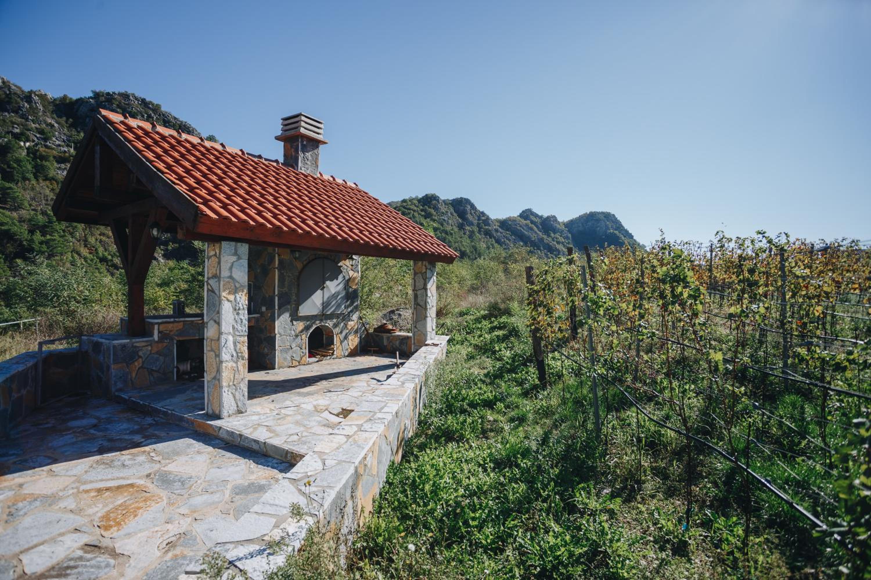 Eco Winery Lipovac Apartments view 4