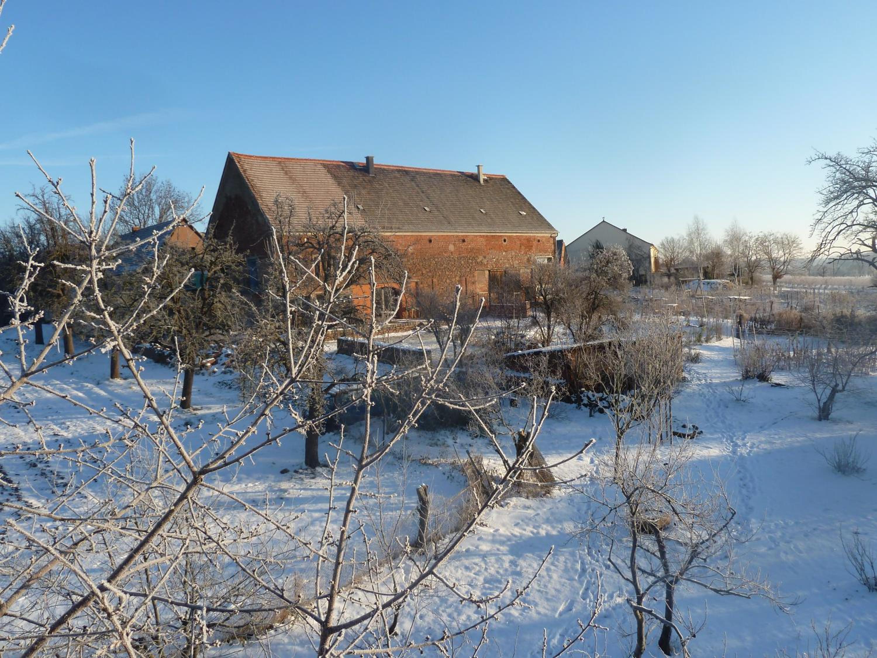 Photo 45