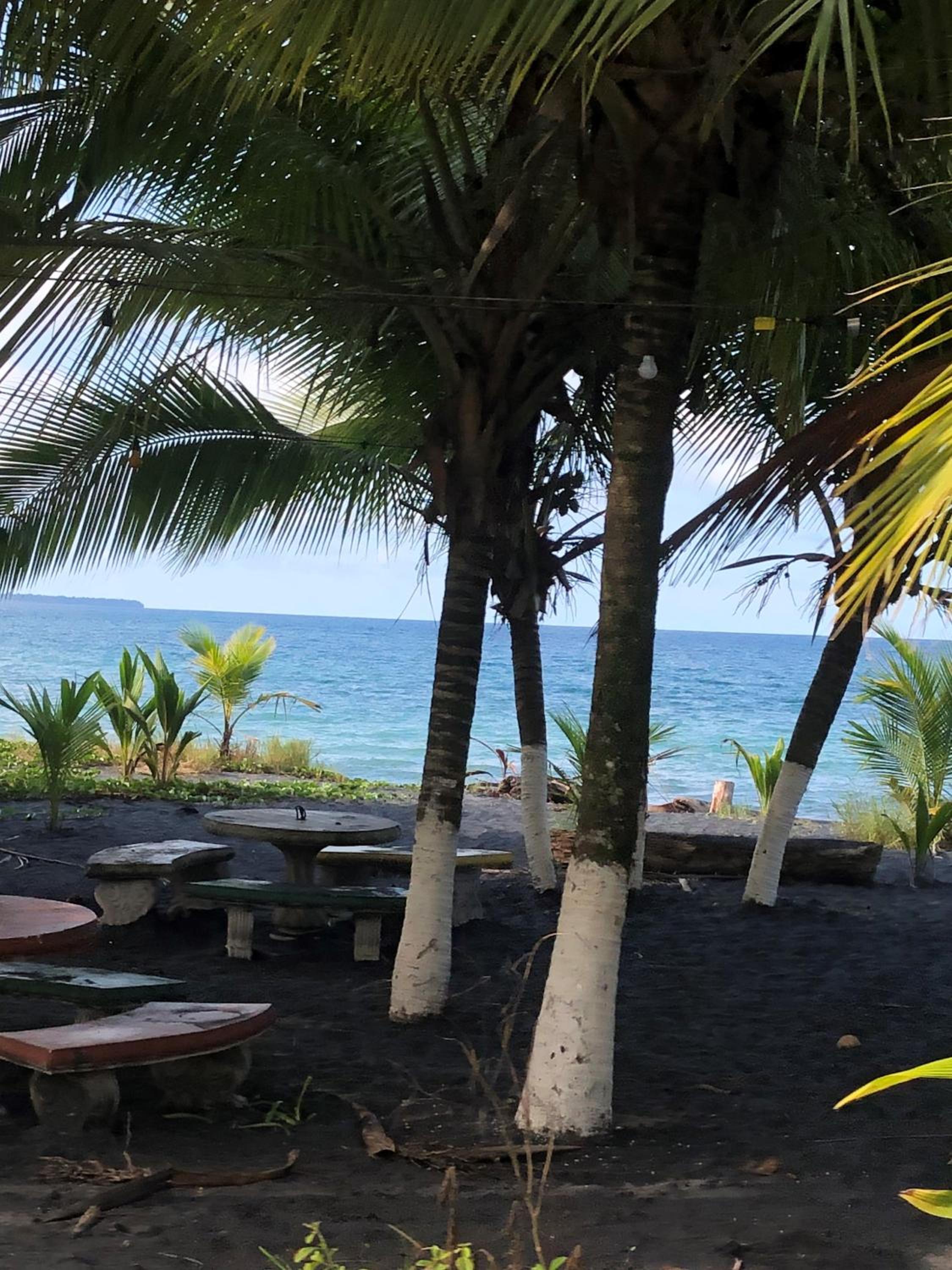 Papaya Wildlife Lodge