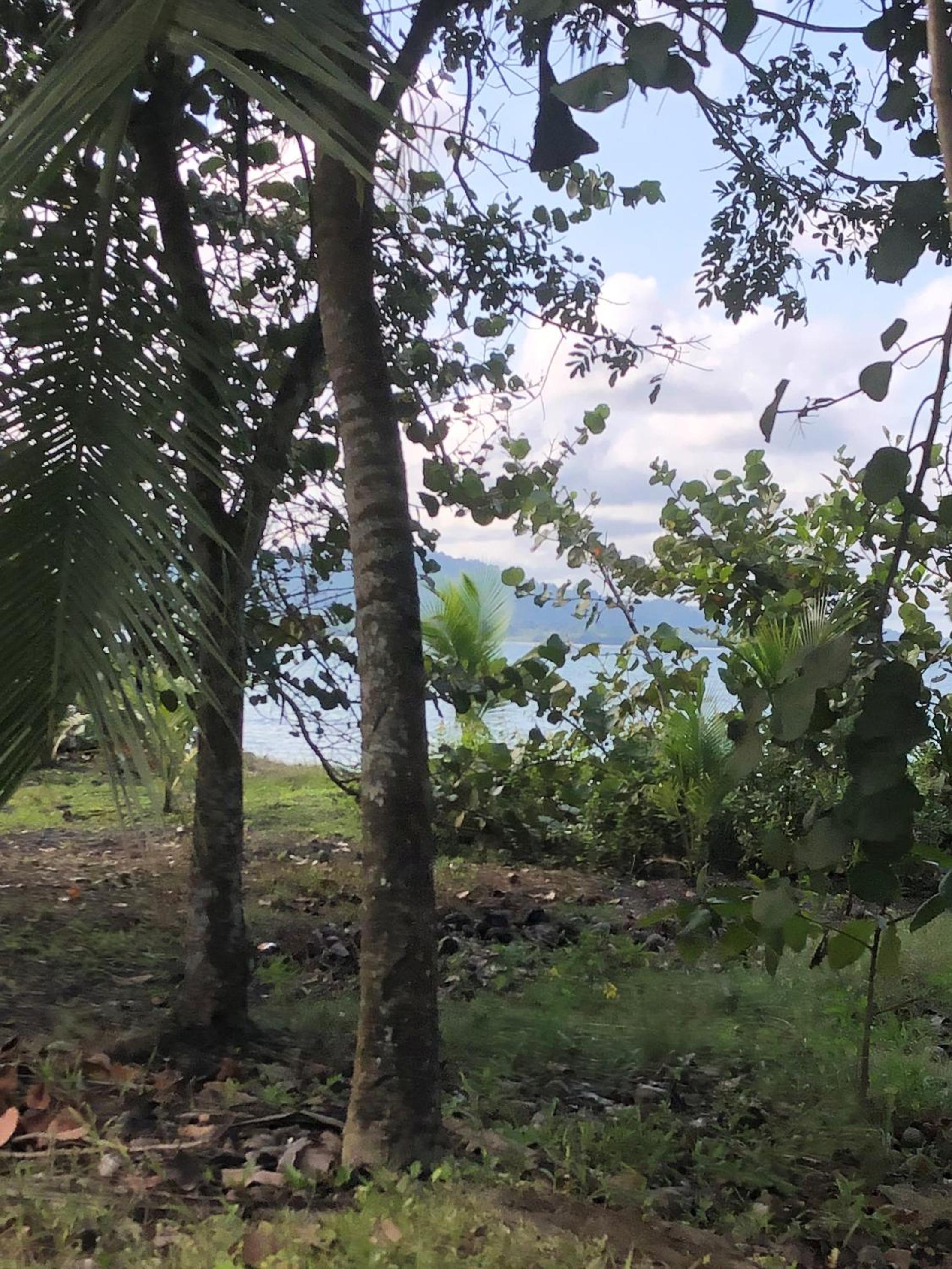 Papaya Wildlife Lodge