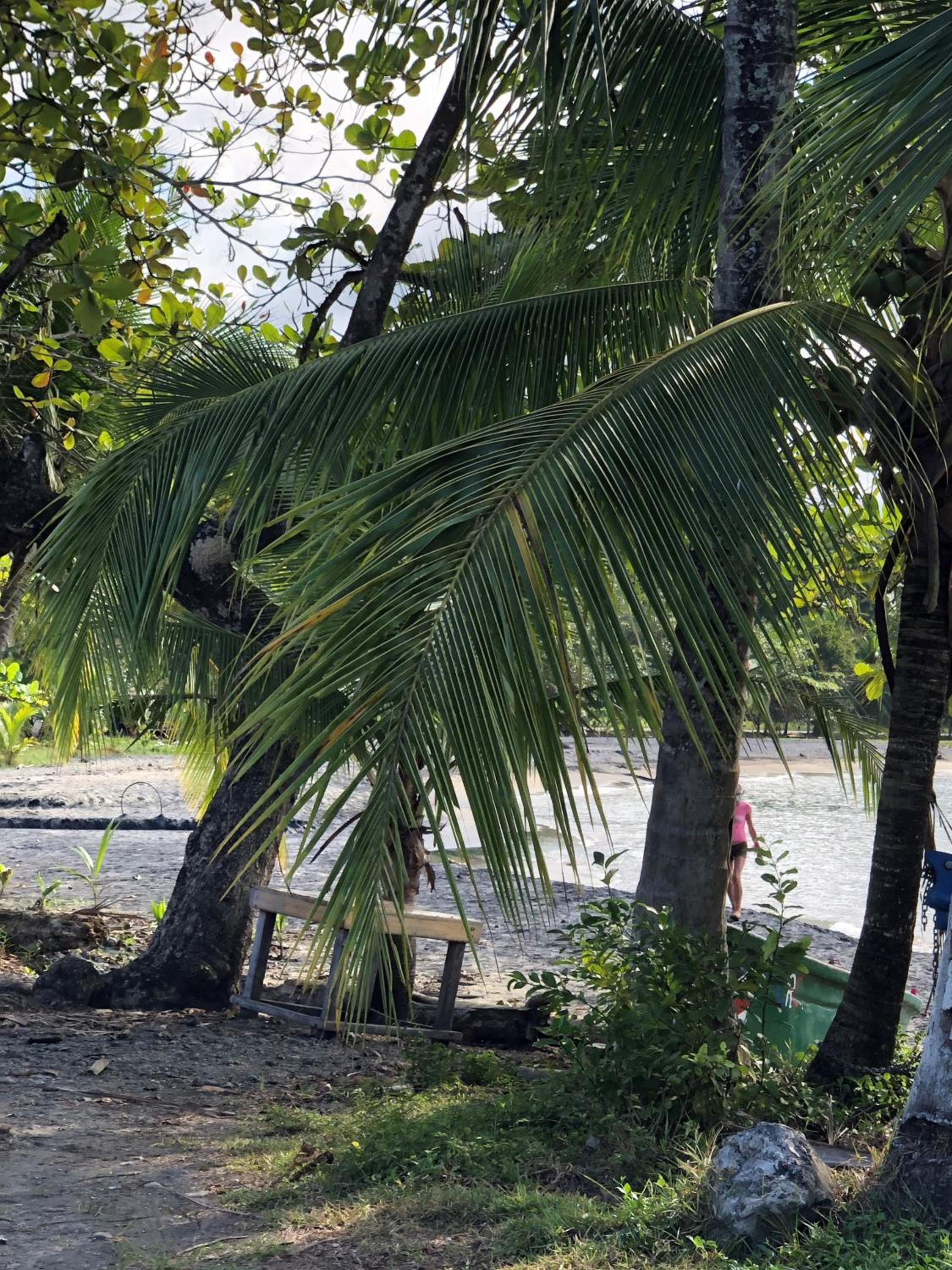 Papaya Wildlife Lodge