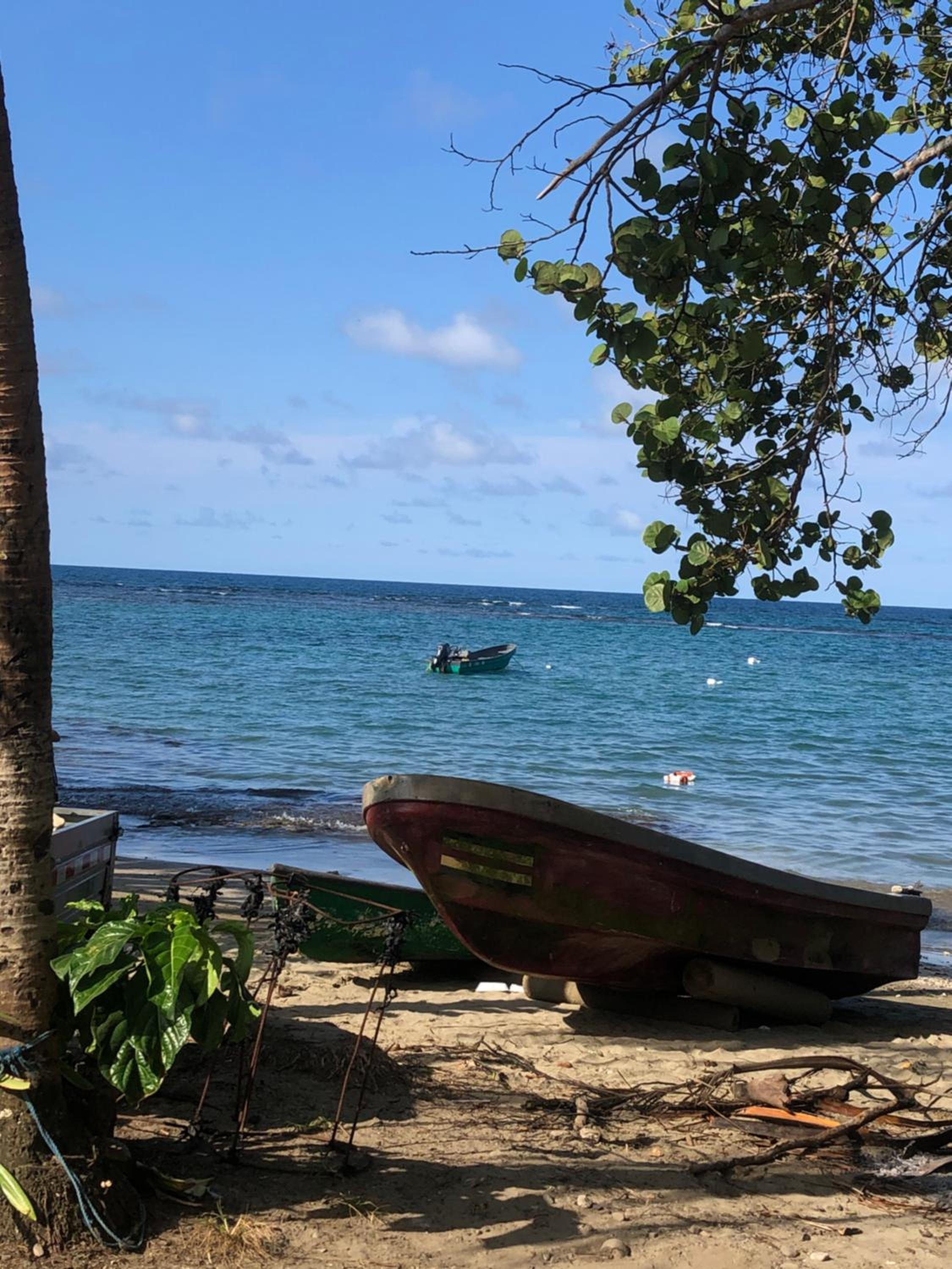 Papaya Wildlife Lodge