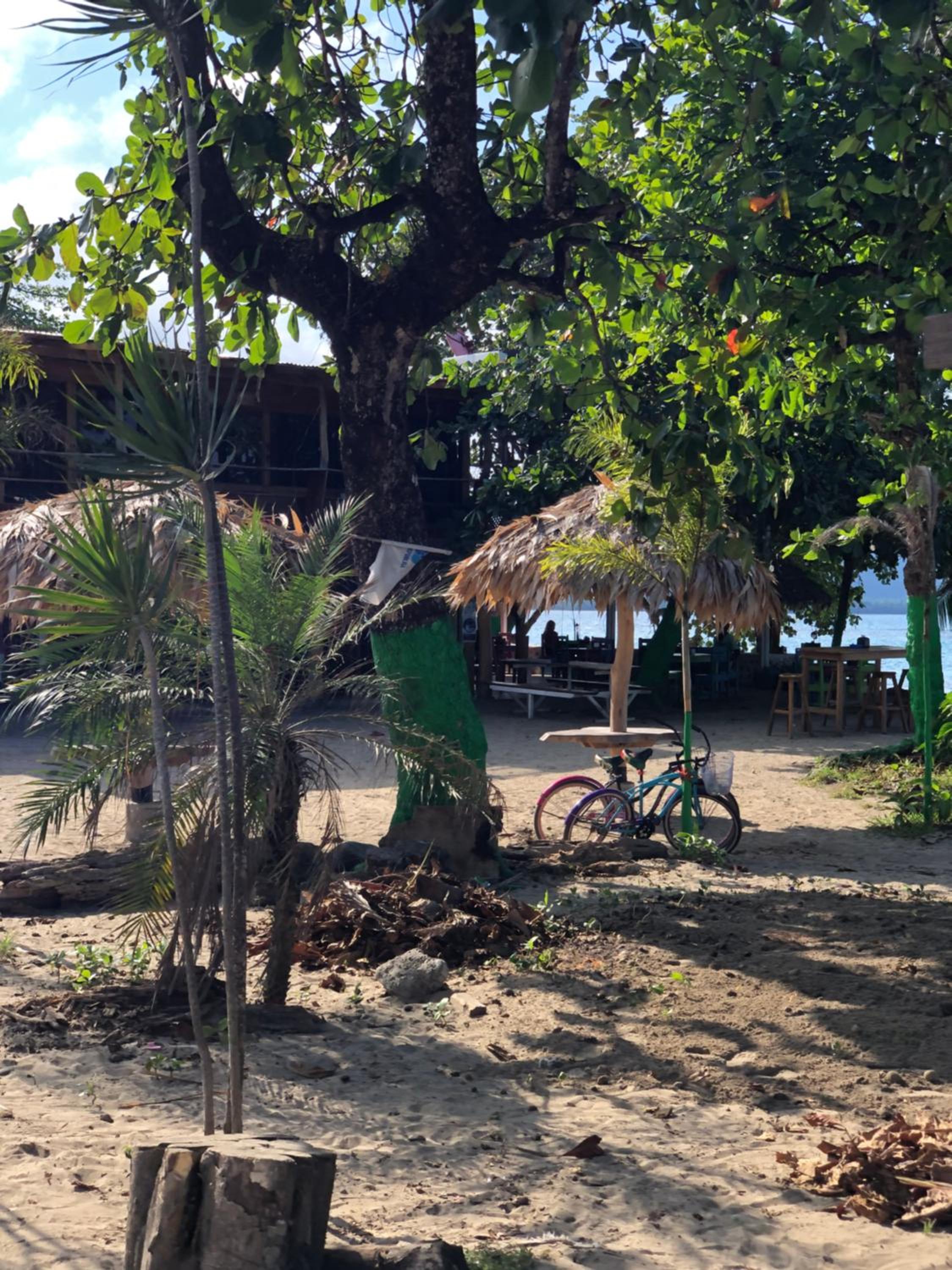Papaya Wildlife Lodge