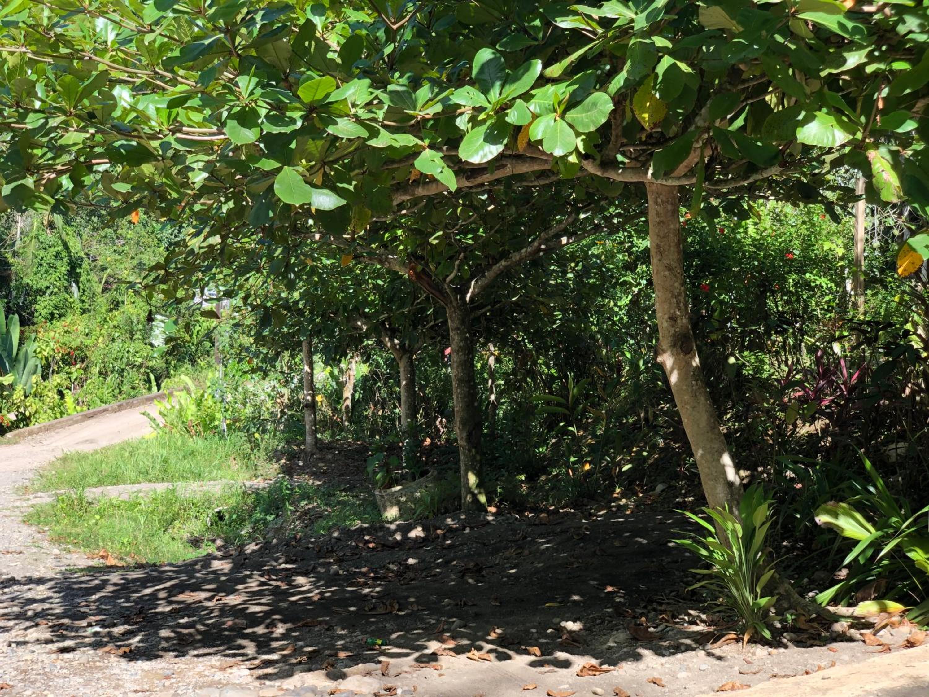 Papaya Wildlife Lodge