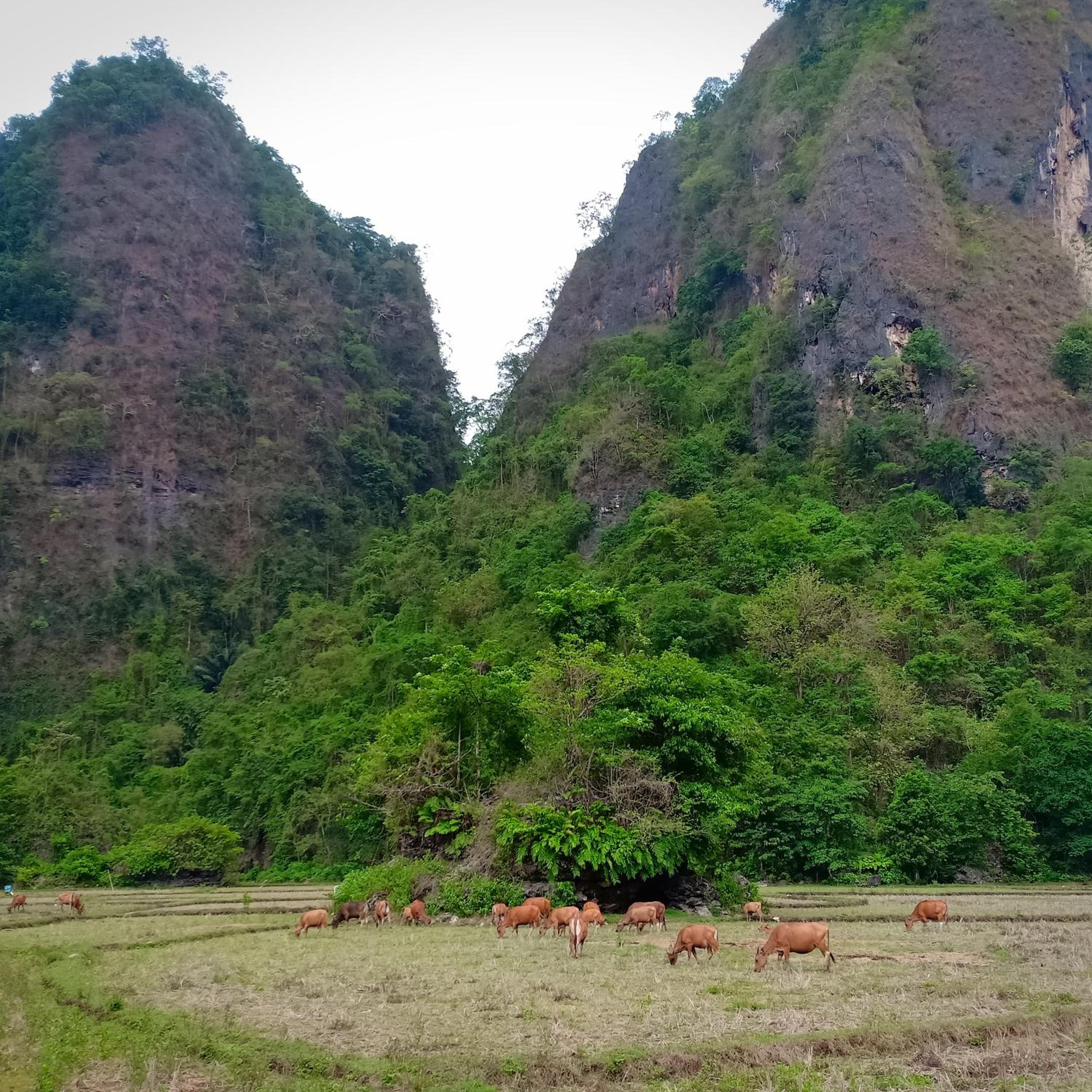 Kampoeng Karst Rammang Rammang