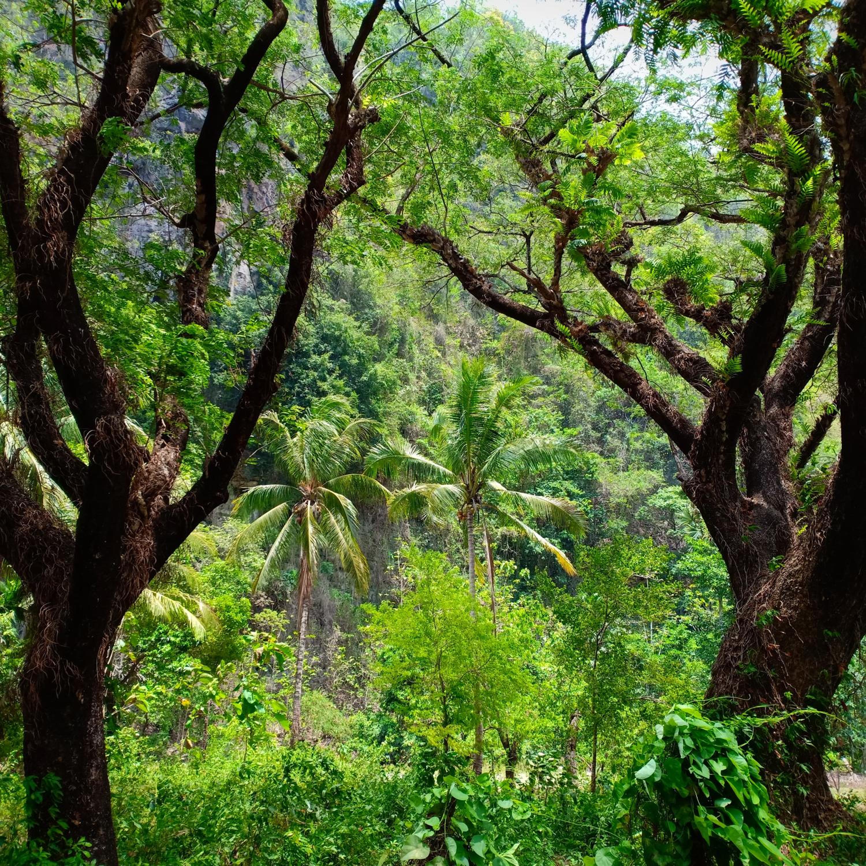 Kampoeng Karst Rammang Rammang