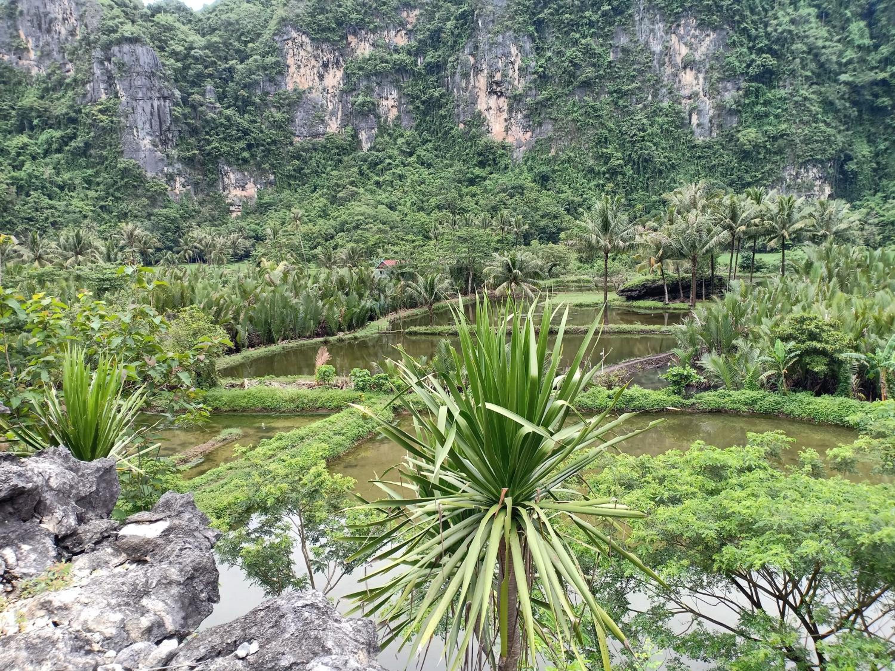 Kampoeng Karst Rammang Rammang