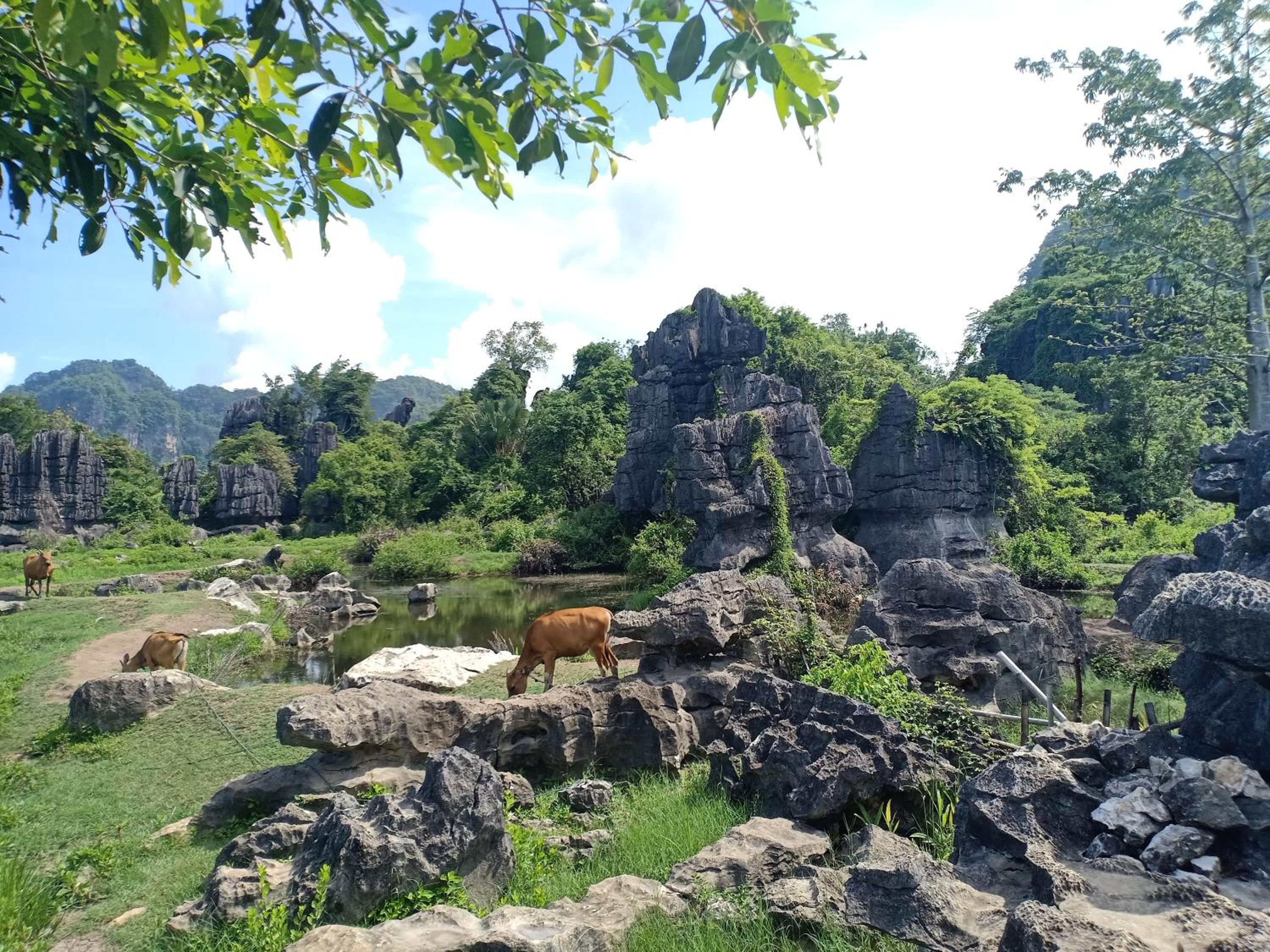 Kampoeng Karst Rammang Rammang