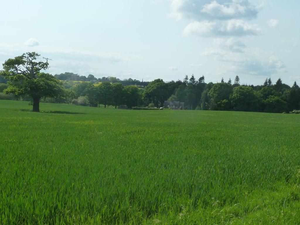 The Coach House view 5