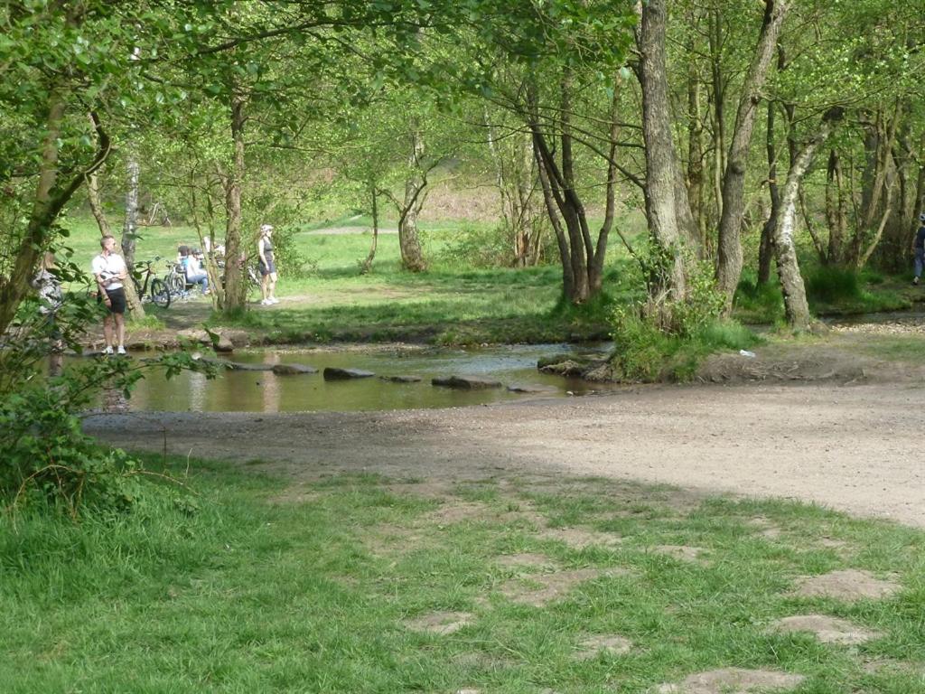 Photo 14
