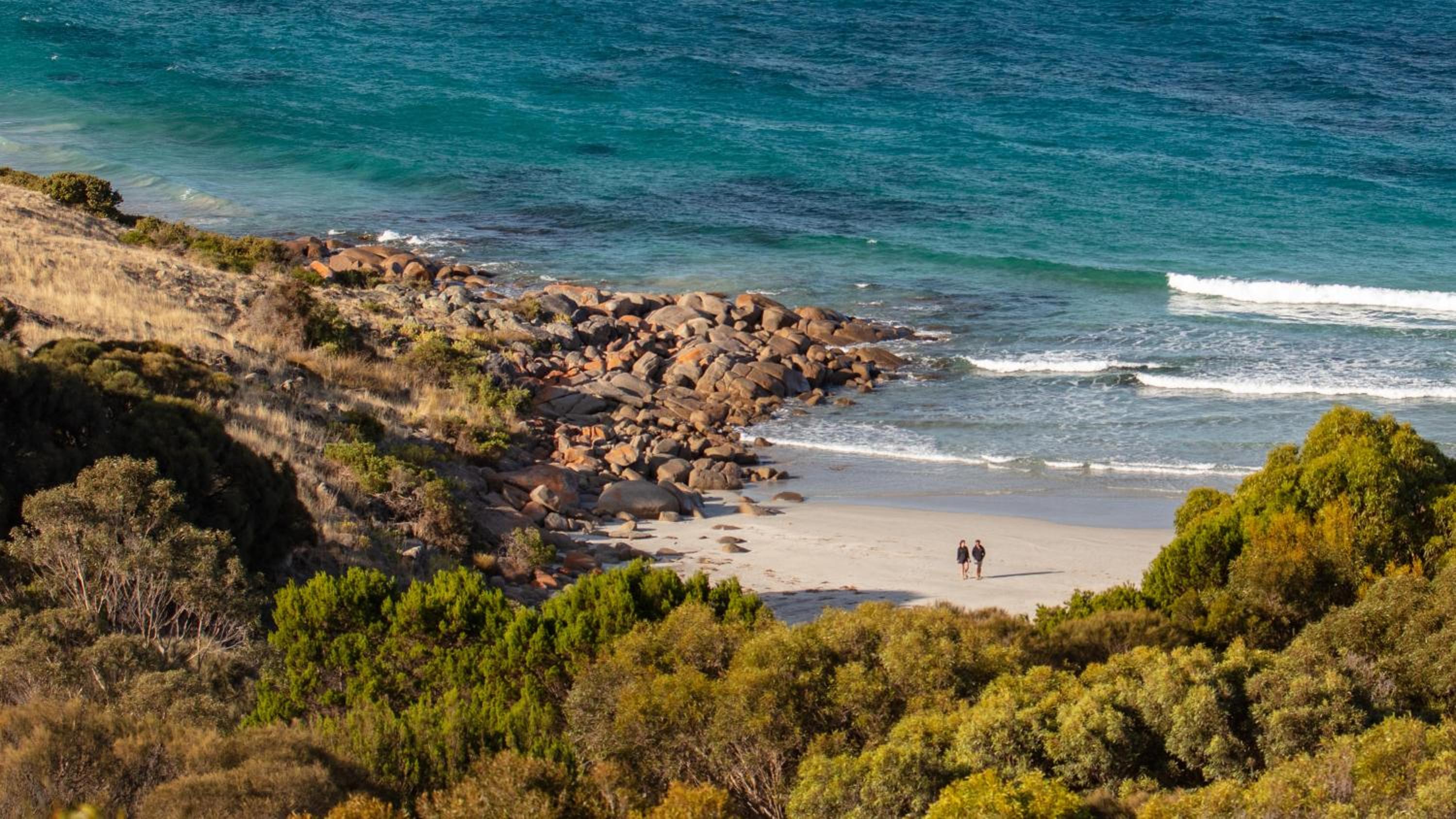 Sea Dragon Kangaroo Island