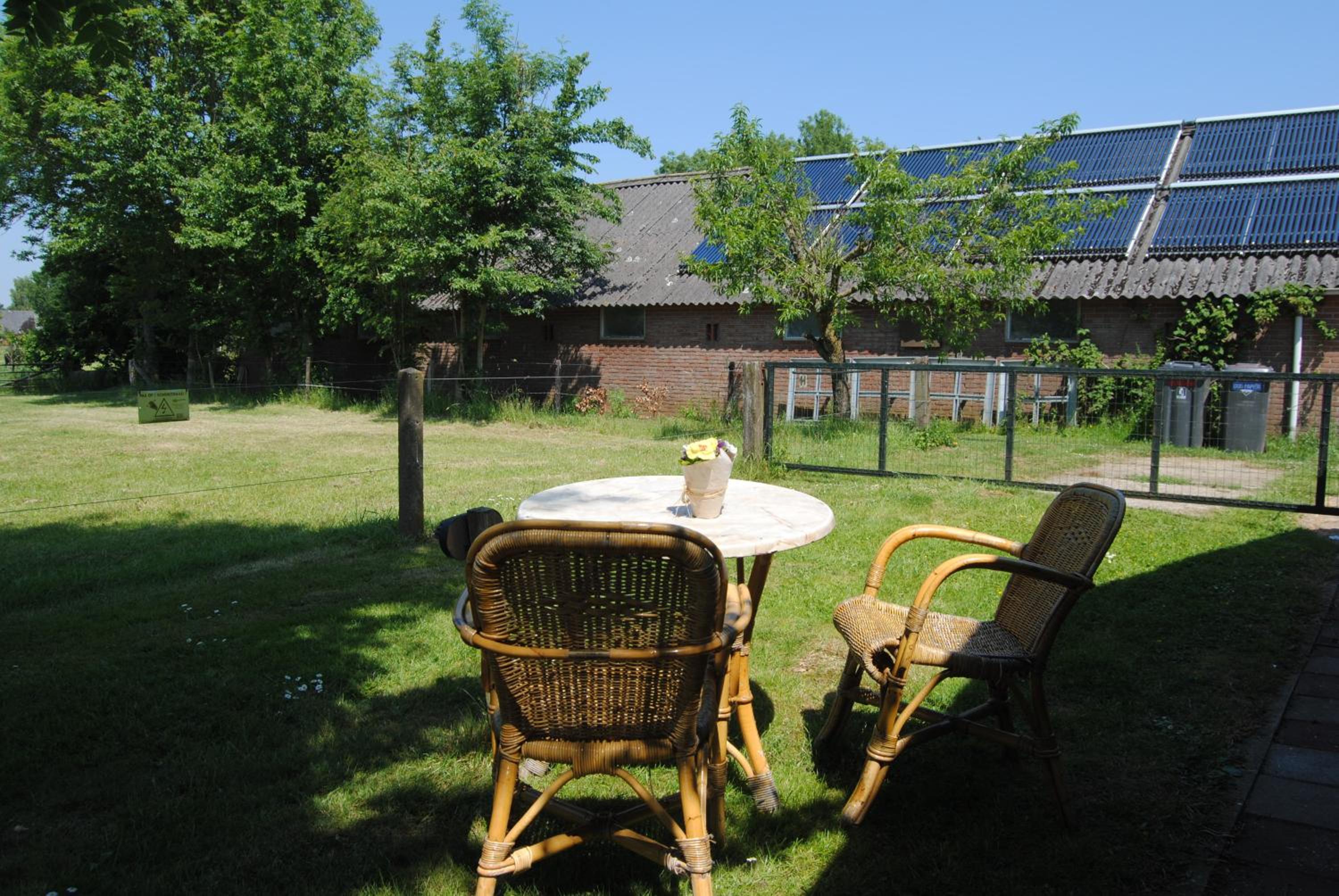 Photo 11