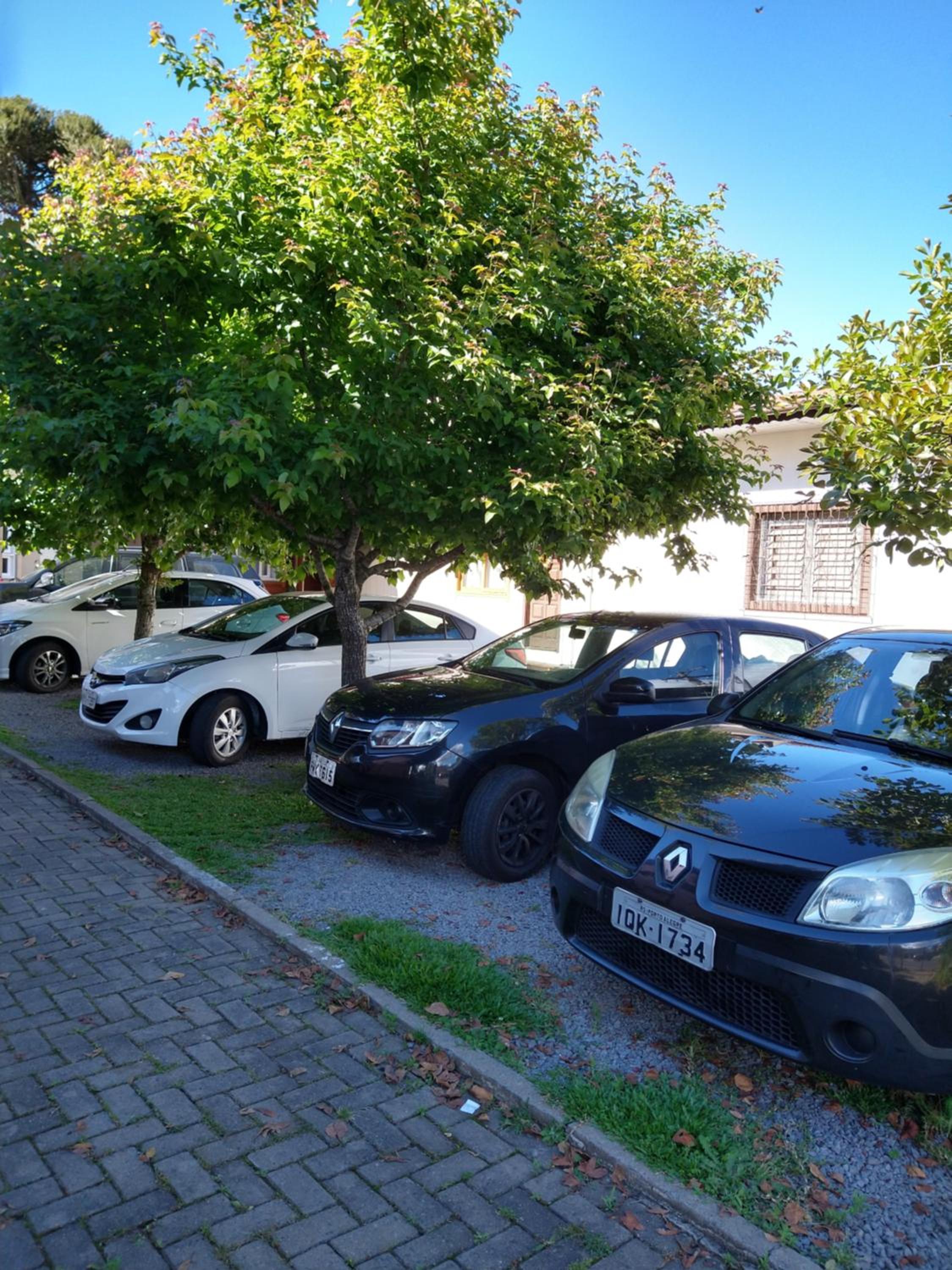 Photo 32