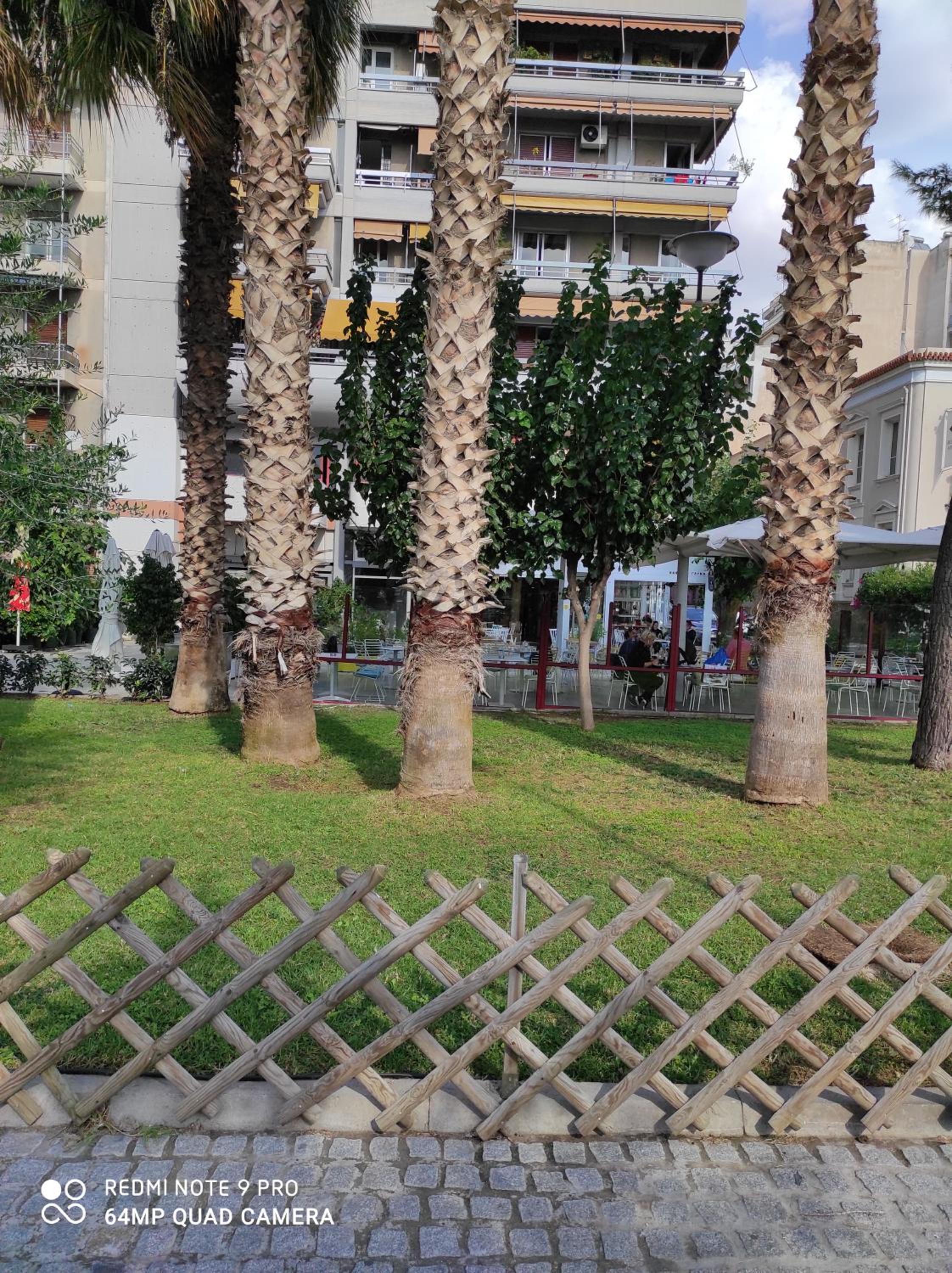 Photo 31
