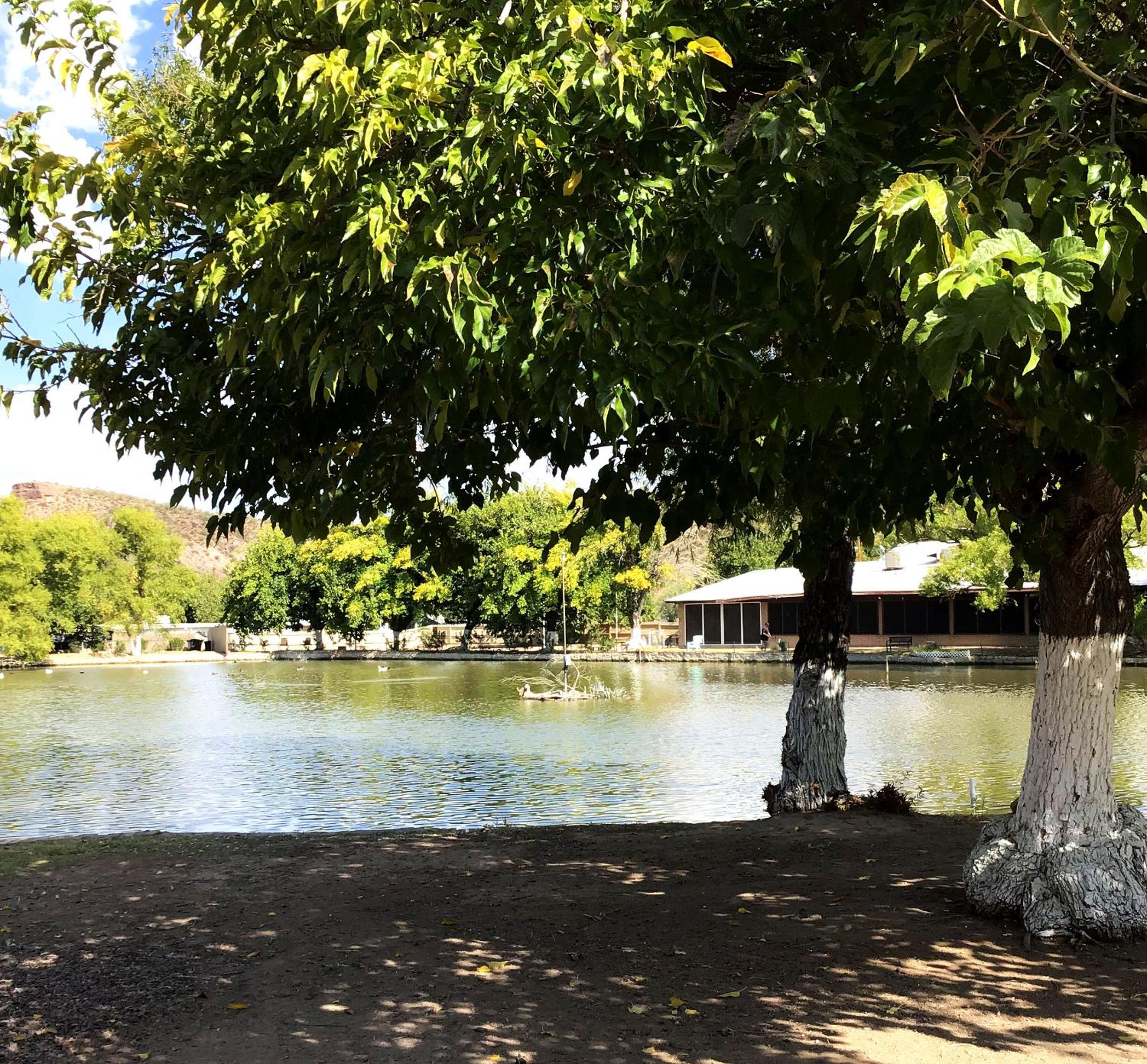 Roosevelt Resort Park