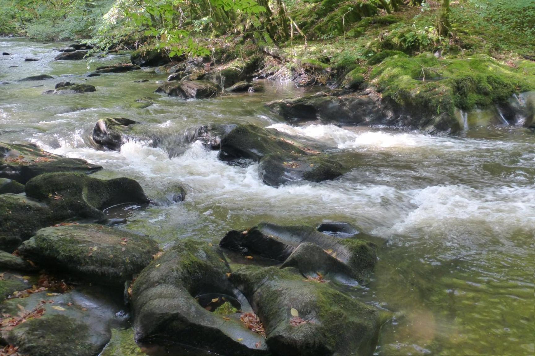 Au fil de l'eau