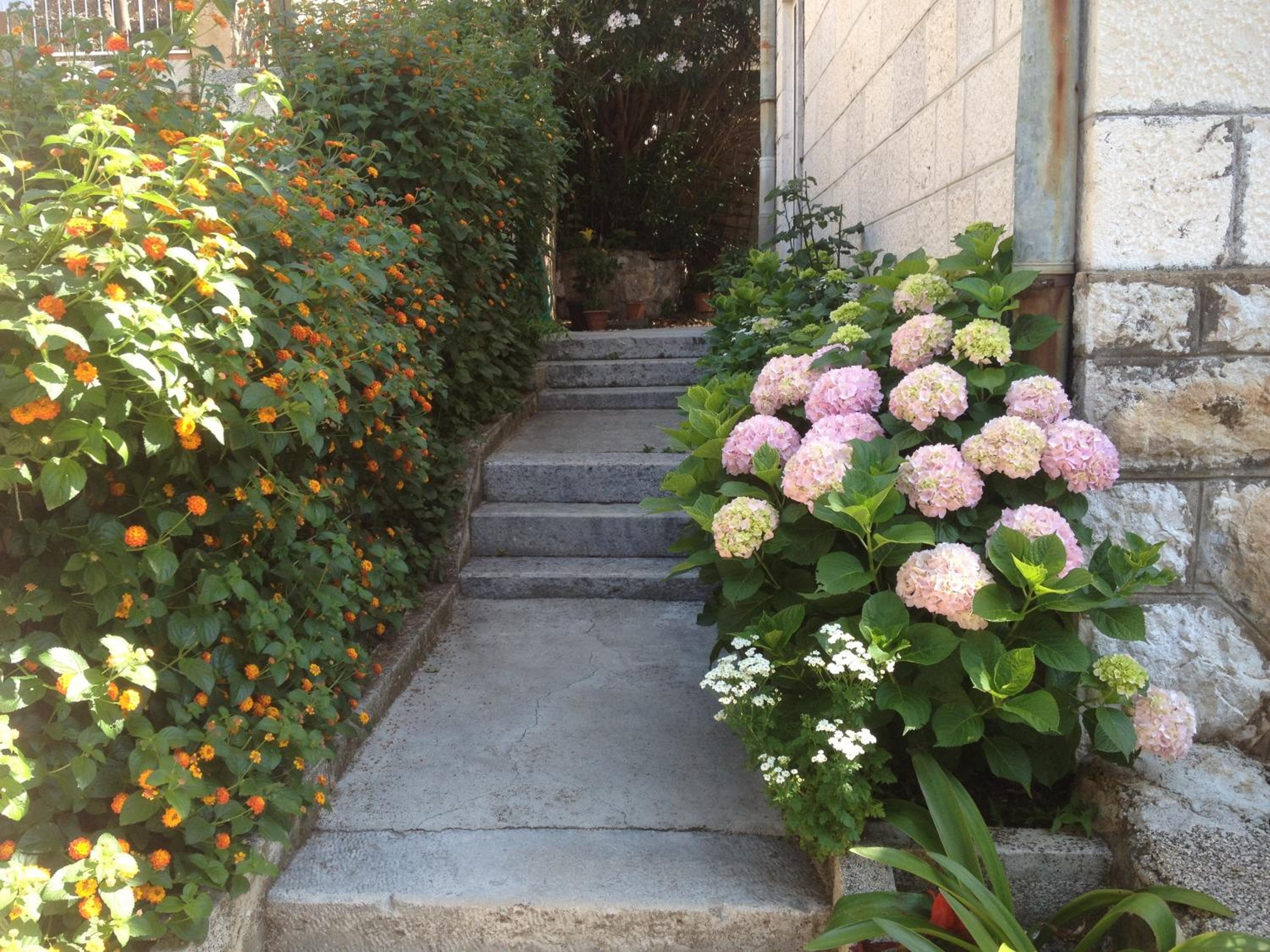 Apartment Flora