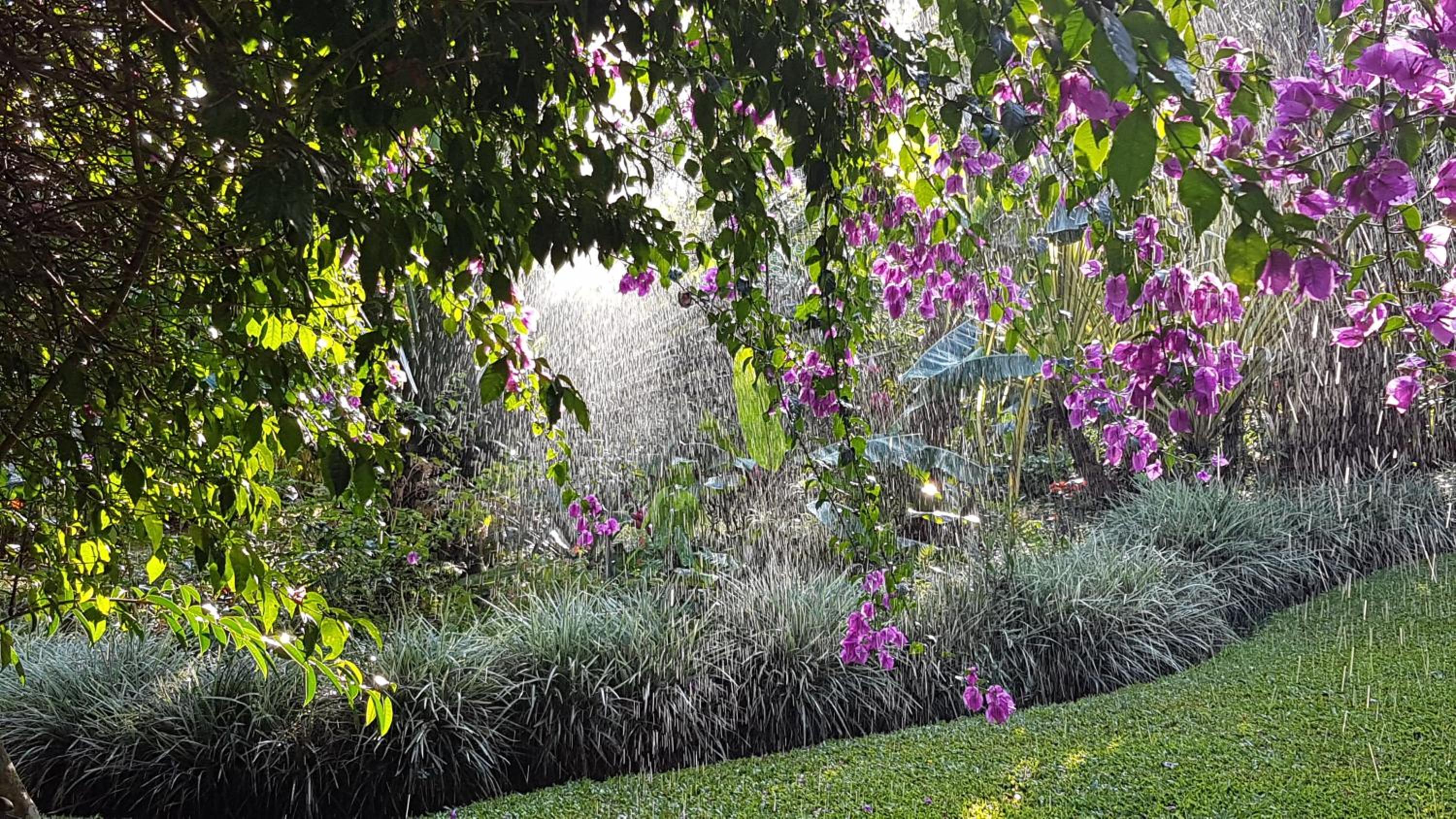 Tacacori EcoLodge