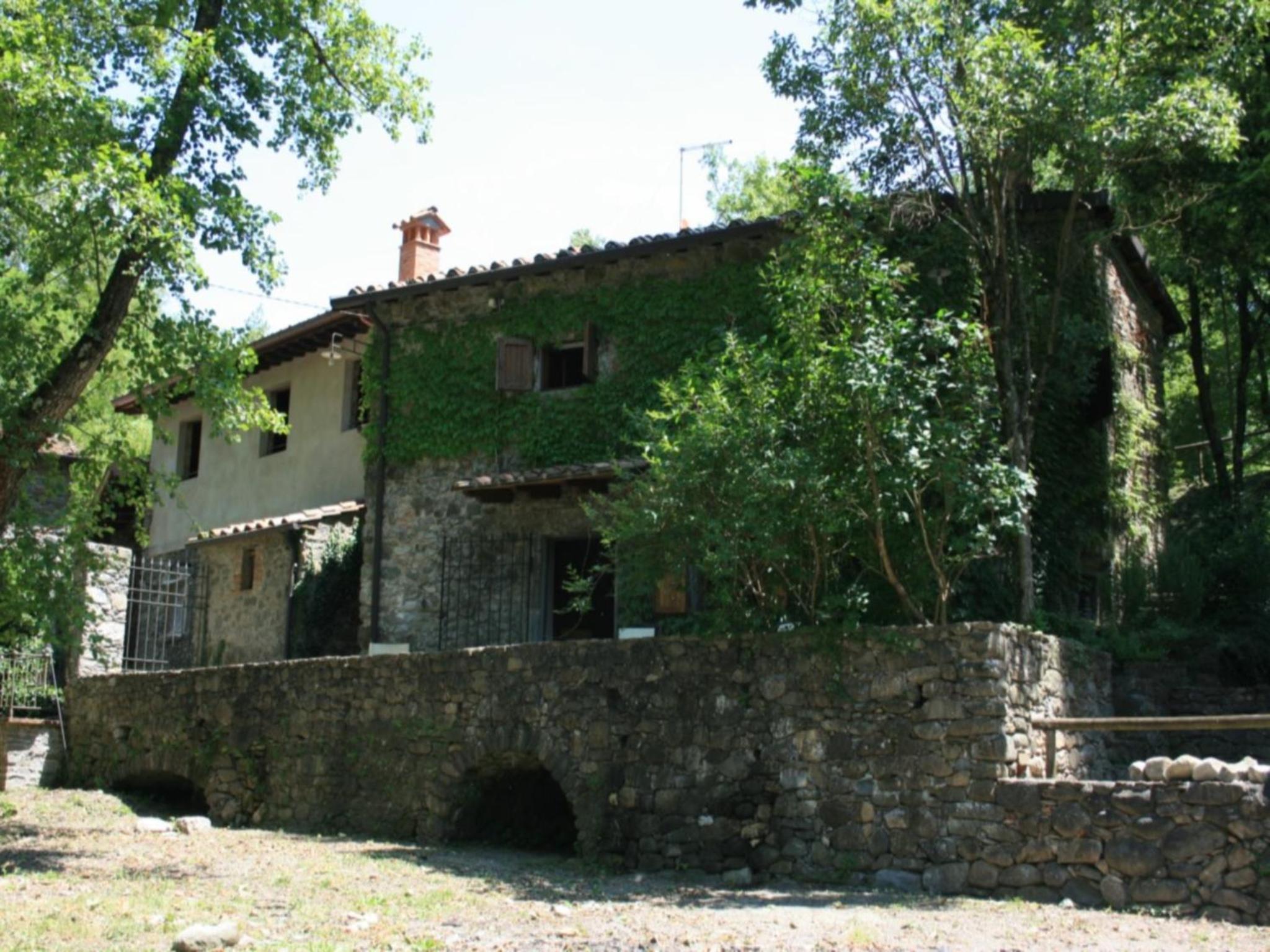 Photo 37