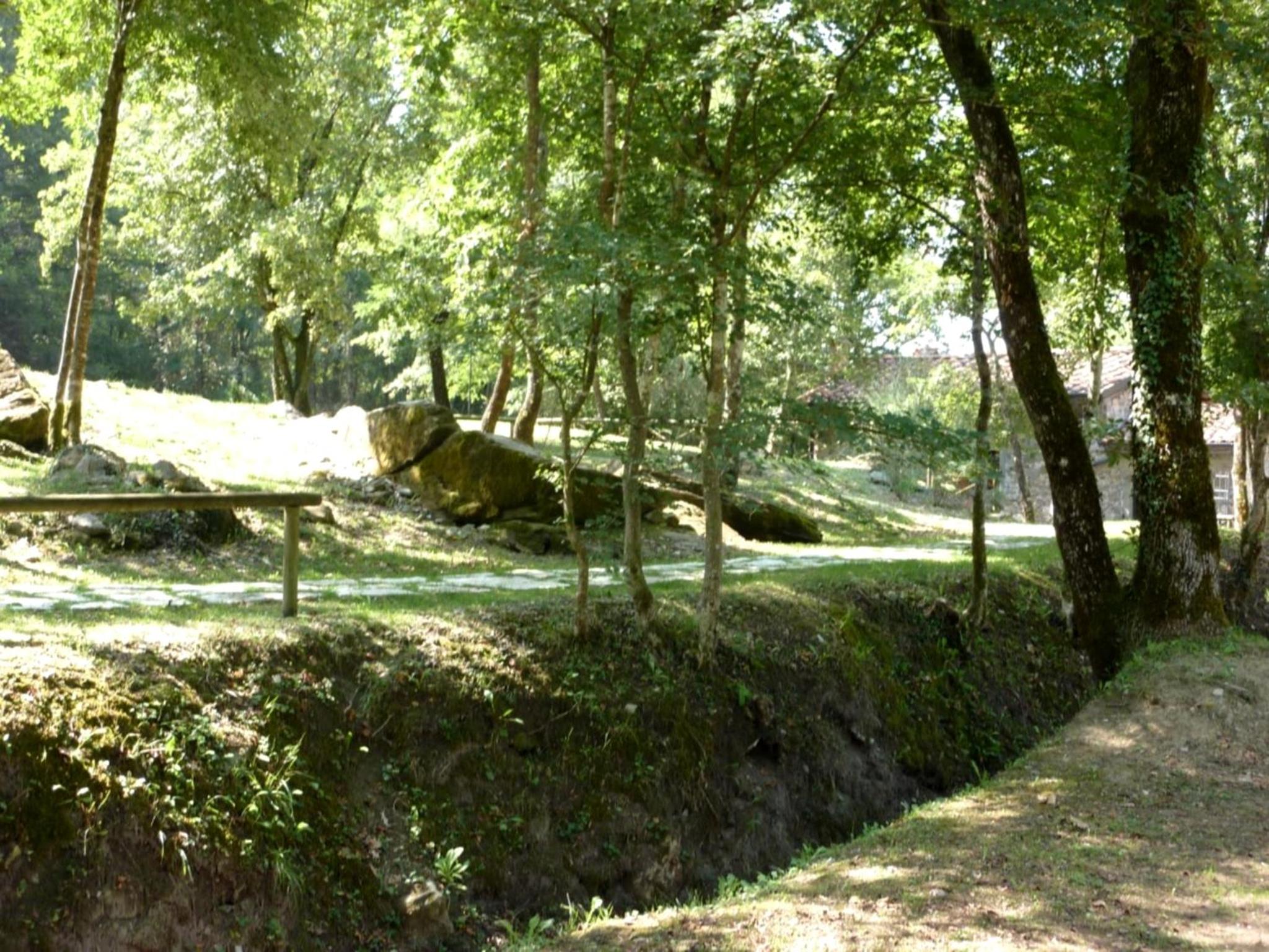 Photo 42