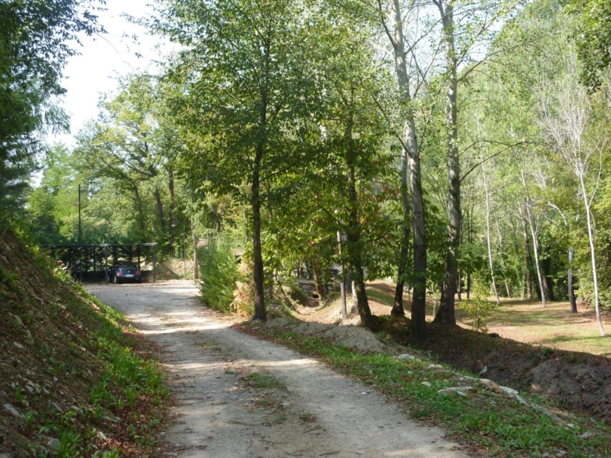 Photo 43