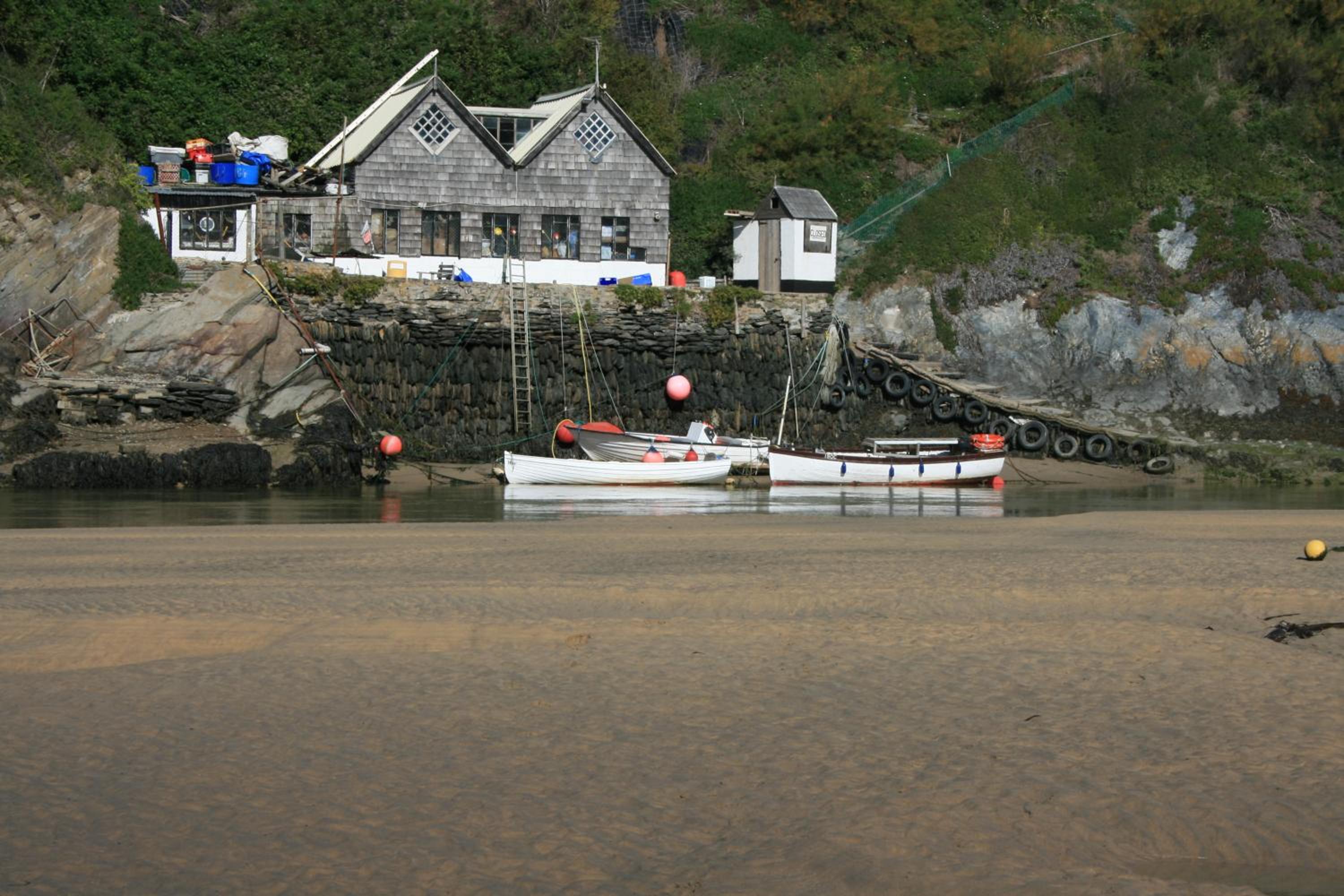 Photo 11