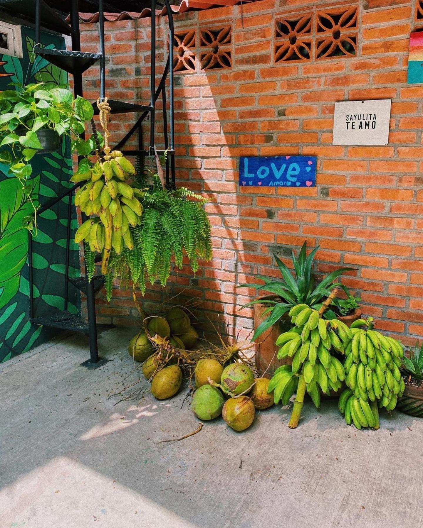 La Redonda Surf Hostel Sayulita view 4