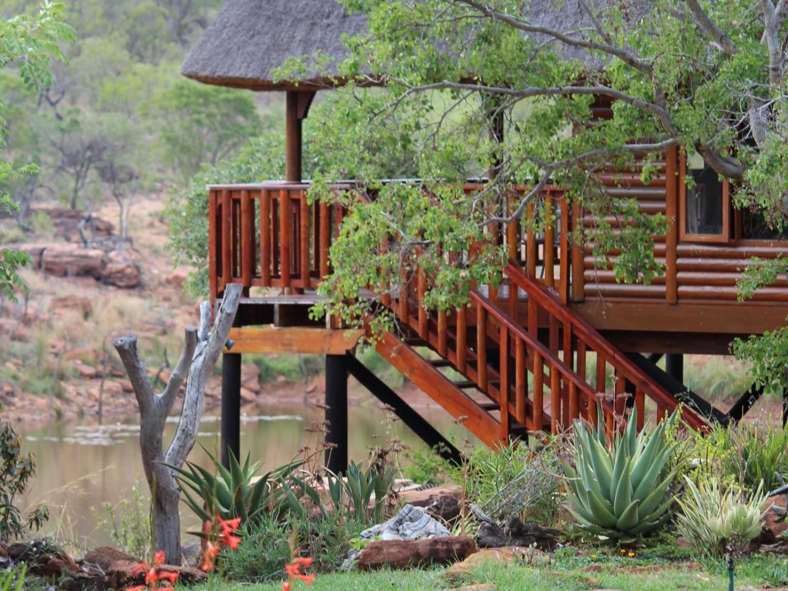 Valamanzi Lodge in Nyati Wilderness, photo 47