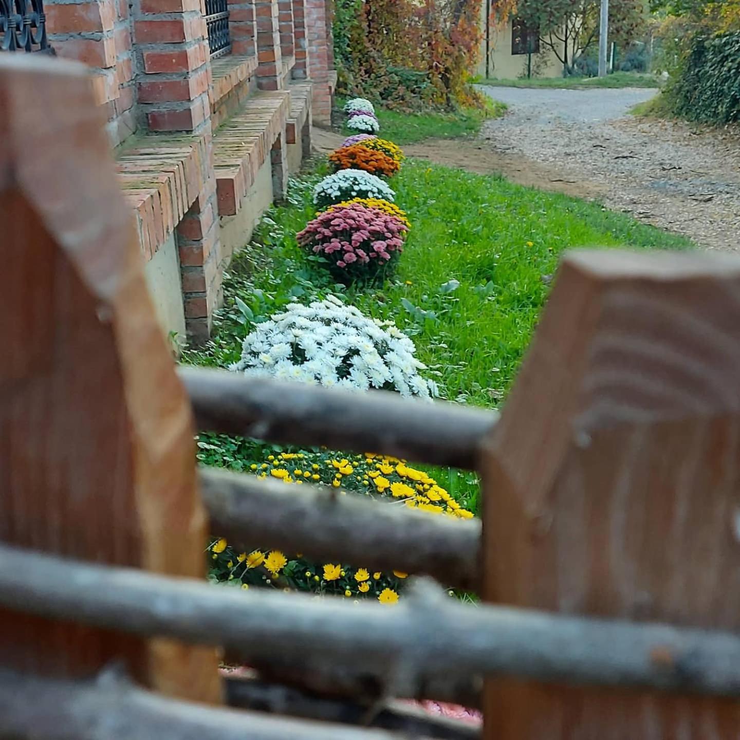 Photo 36