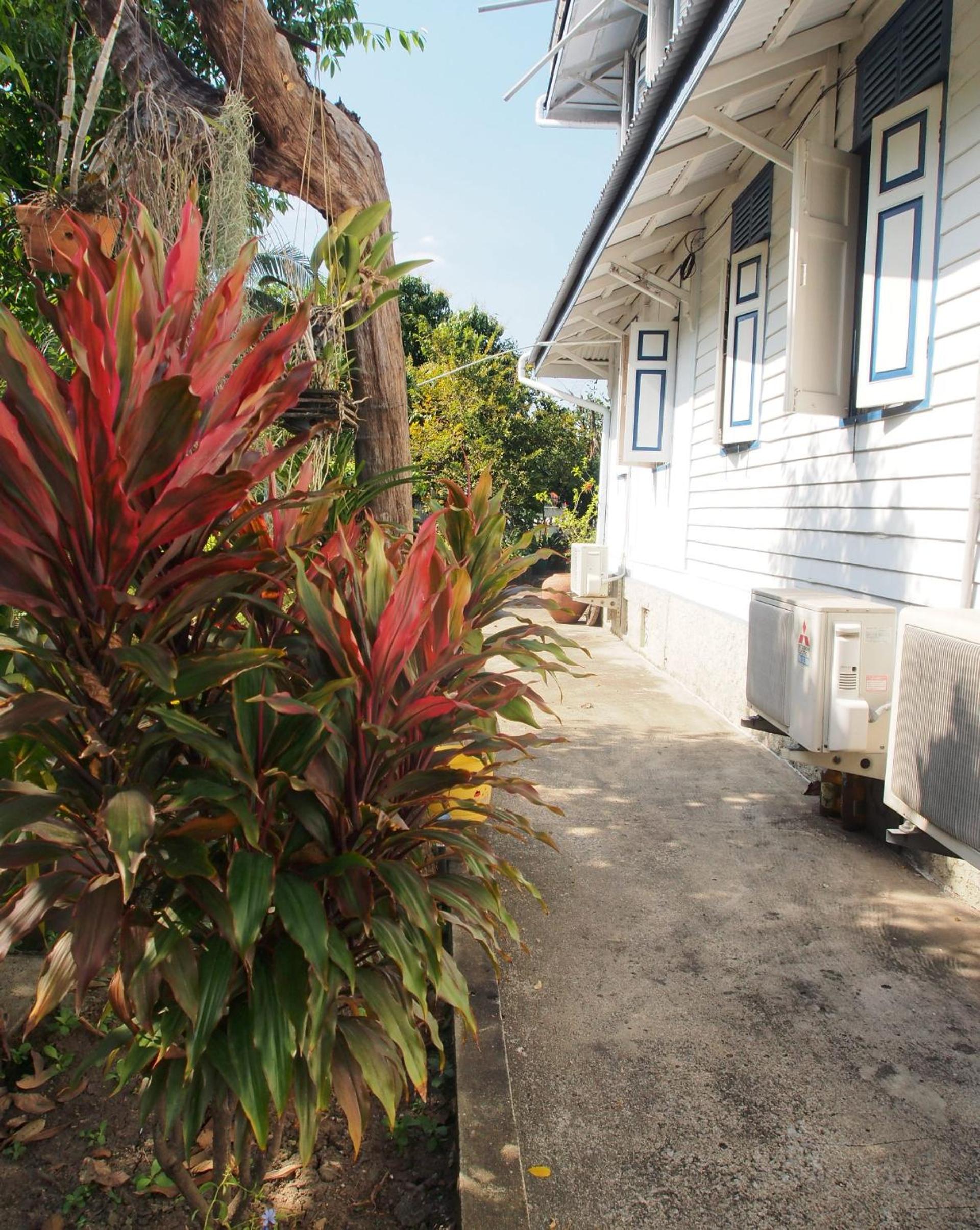 Photo 40