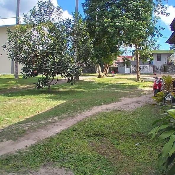 Mimi Guest House Syariah Pangkalan bun view 4