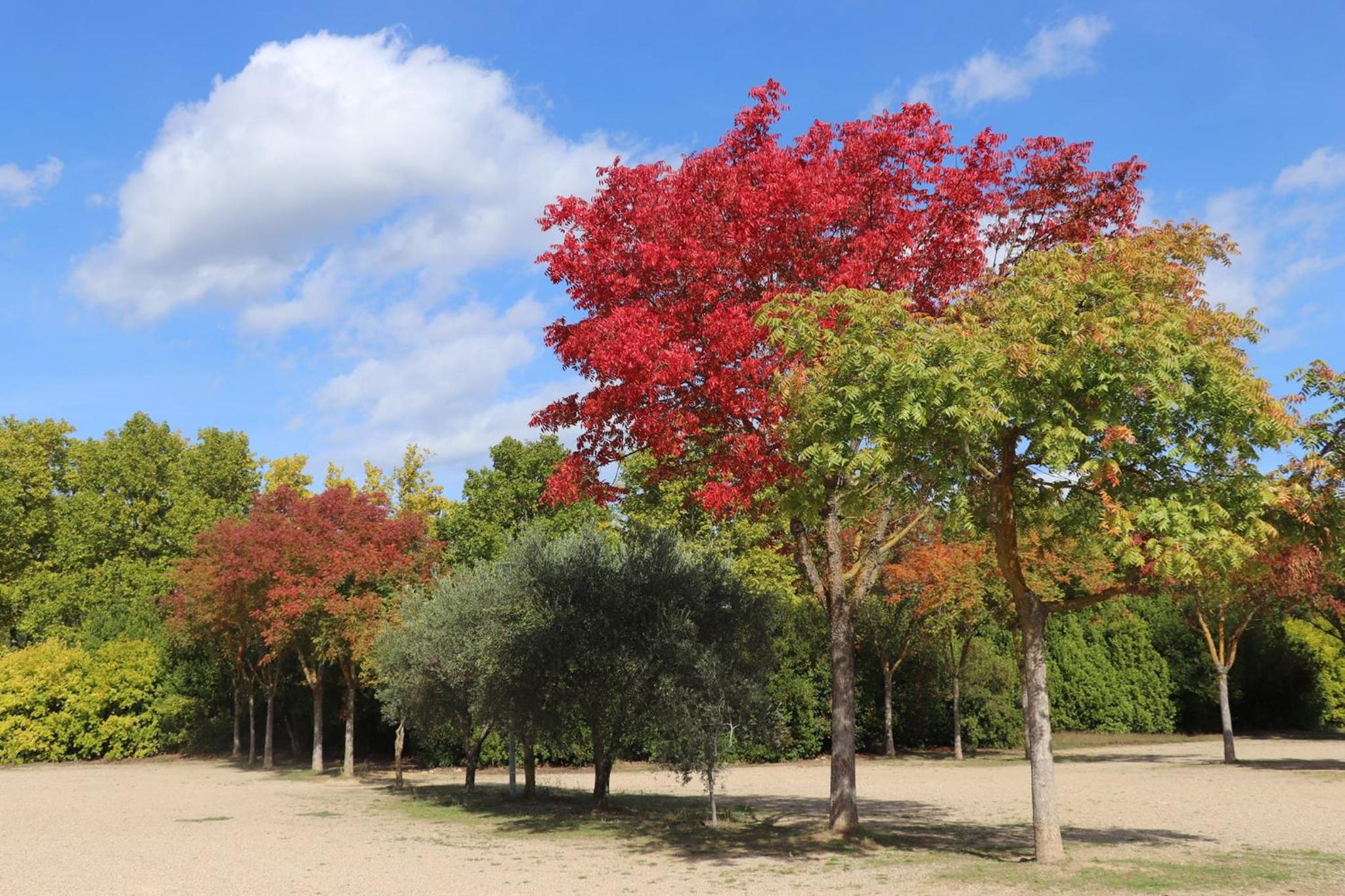 La Bastide des Pins