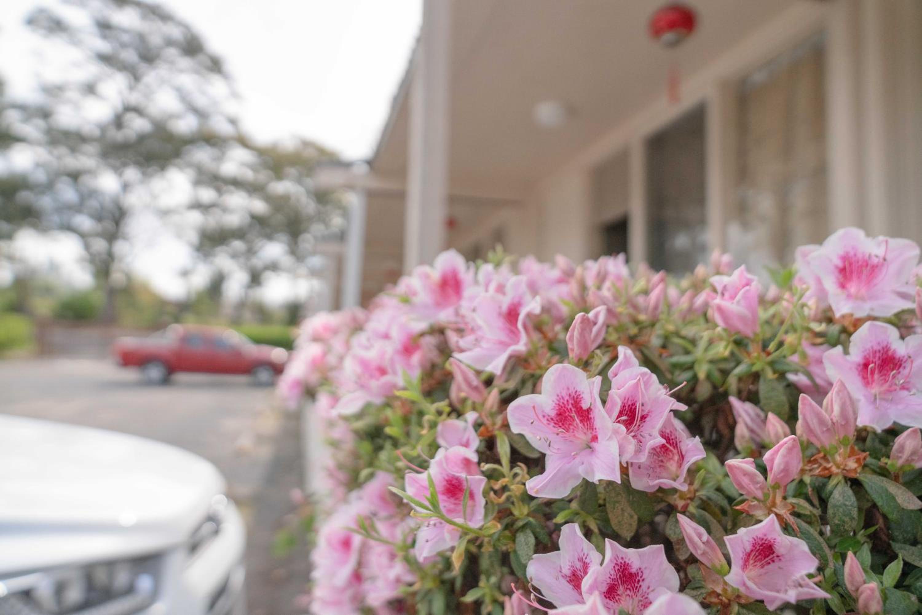 Eden Nimo Motel