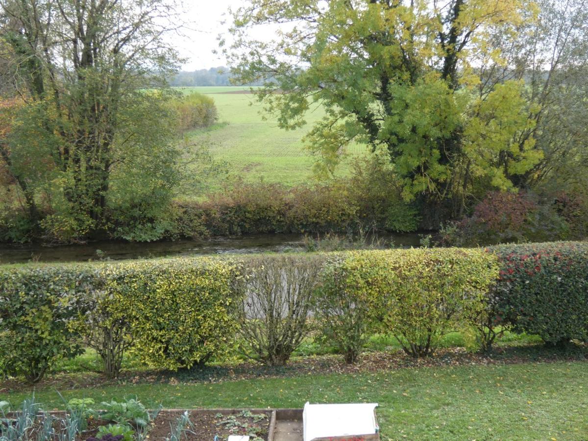 les iris view 2