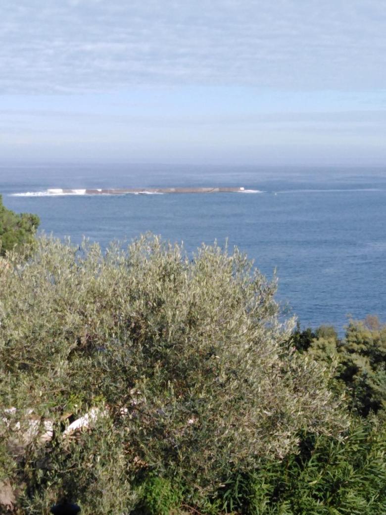 L'Annexe view 5