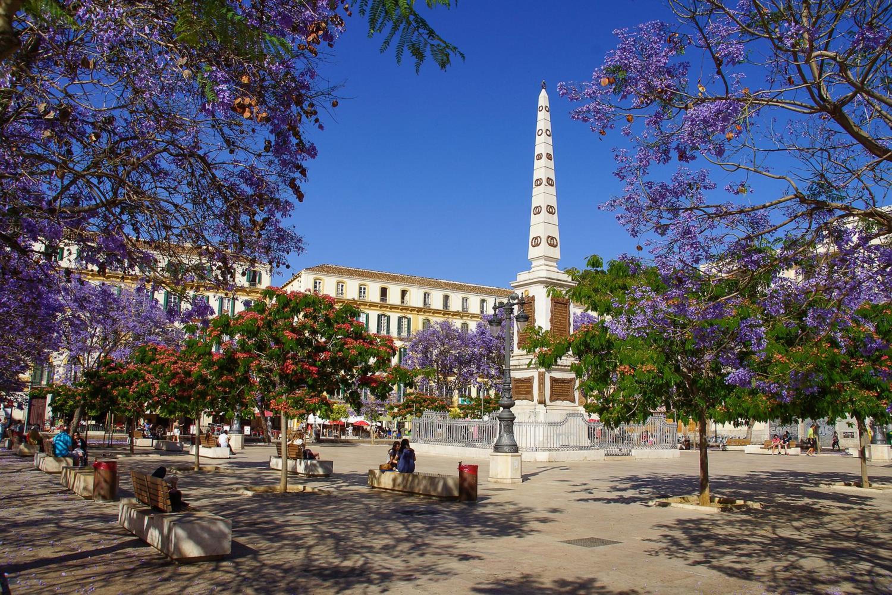 Del Parque Flats - Alamos