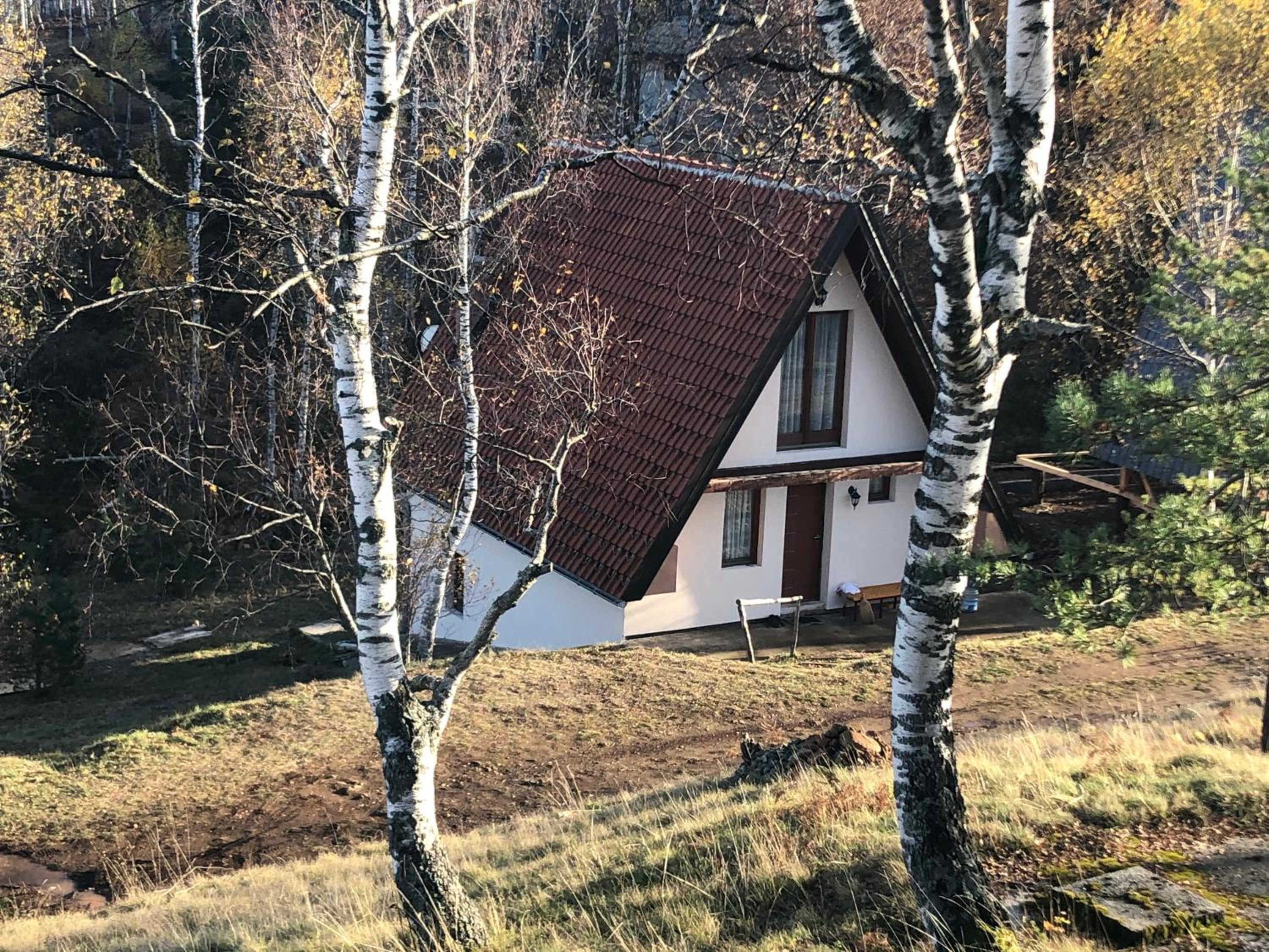 Photo 23