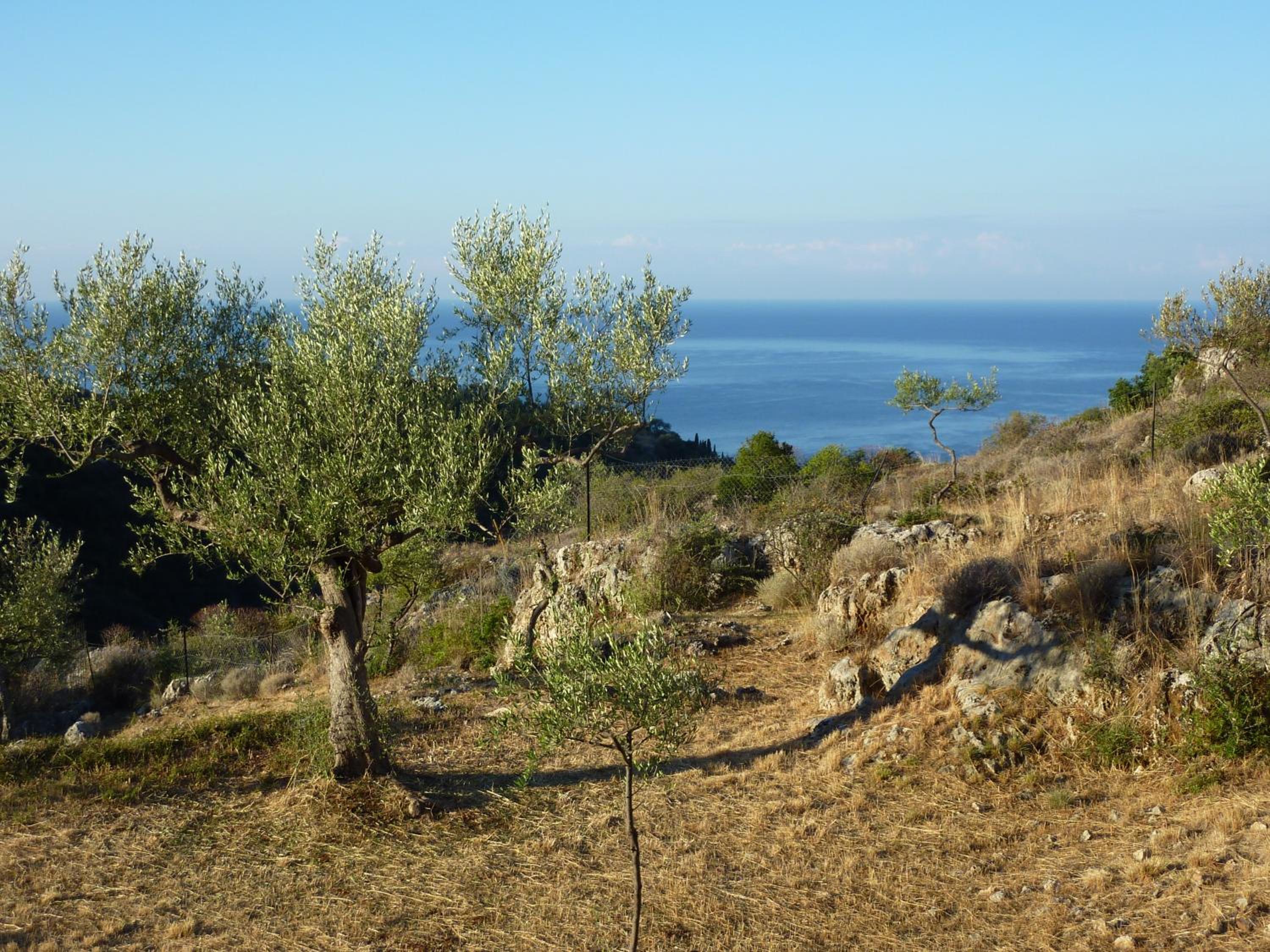 Photo 29