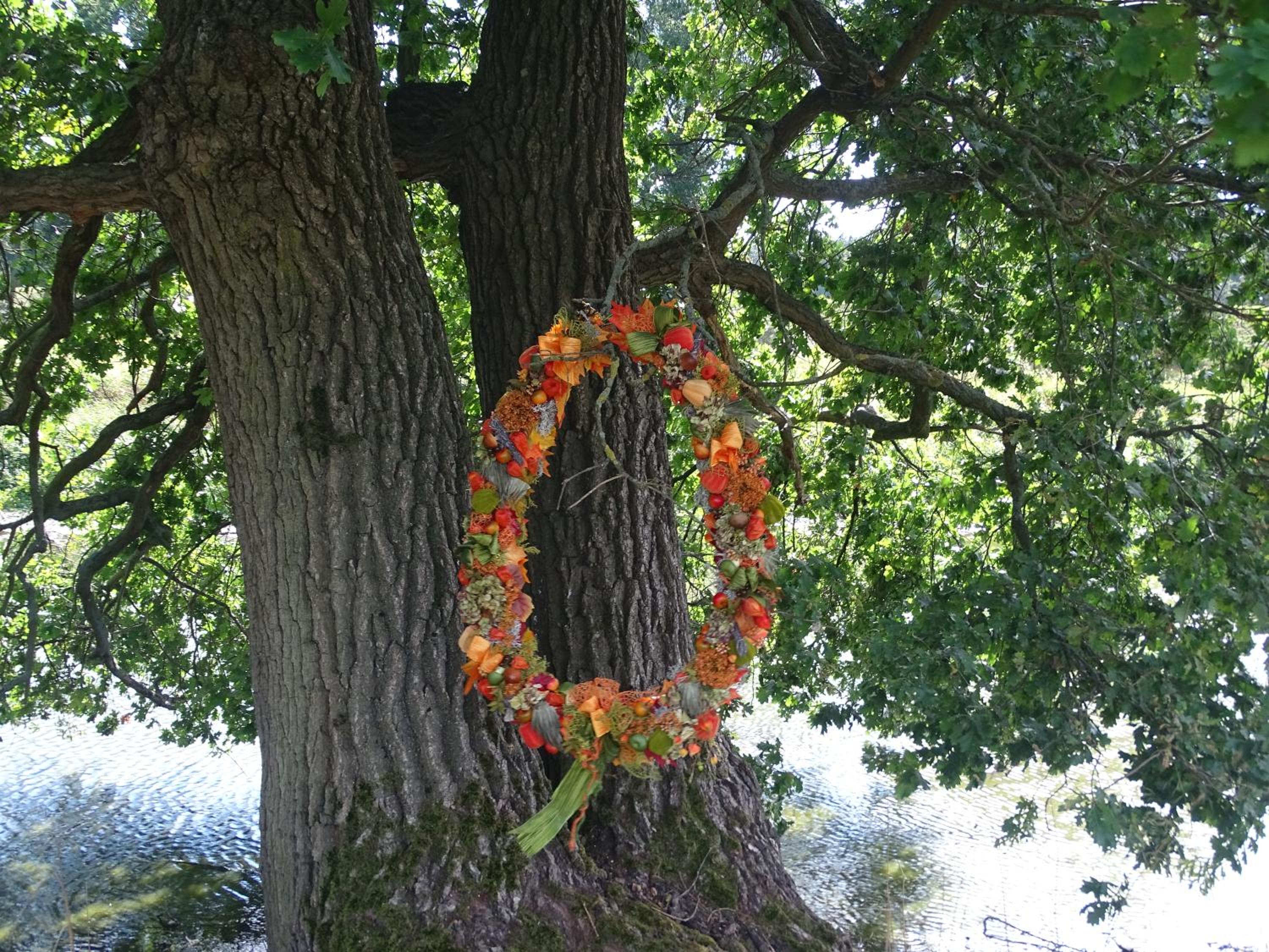 Gutshof Zum Adlernest