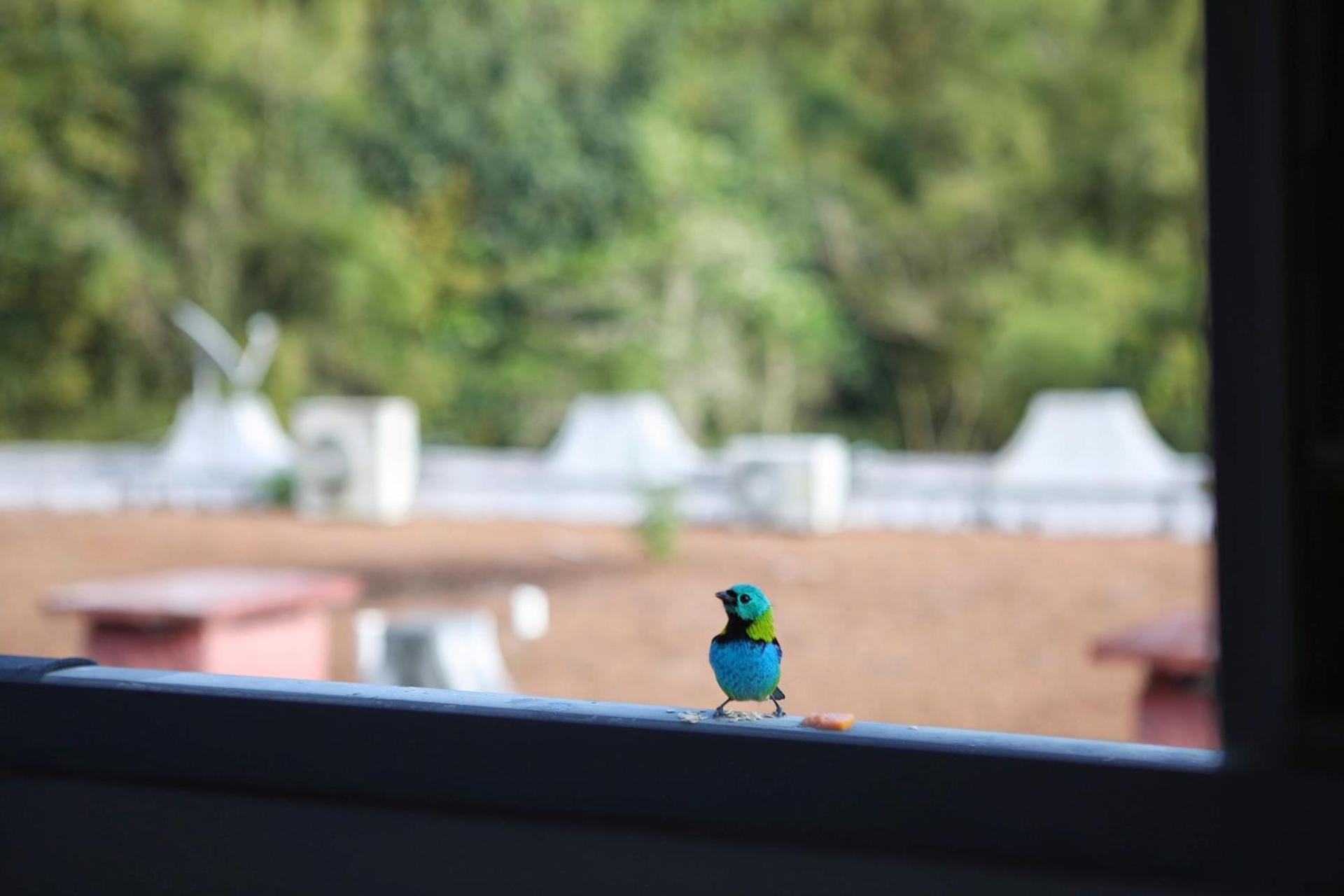 Apartamento Ubatuba Vista para o mar e pé na areia - Praia das Toninhas