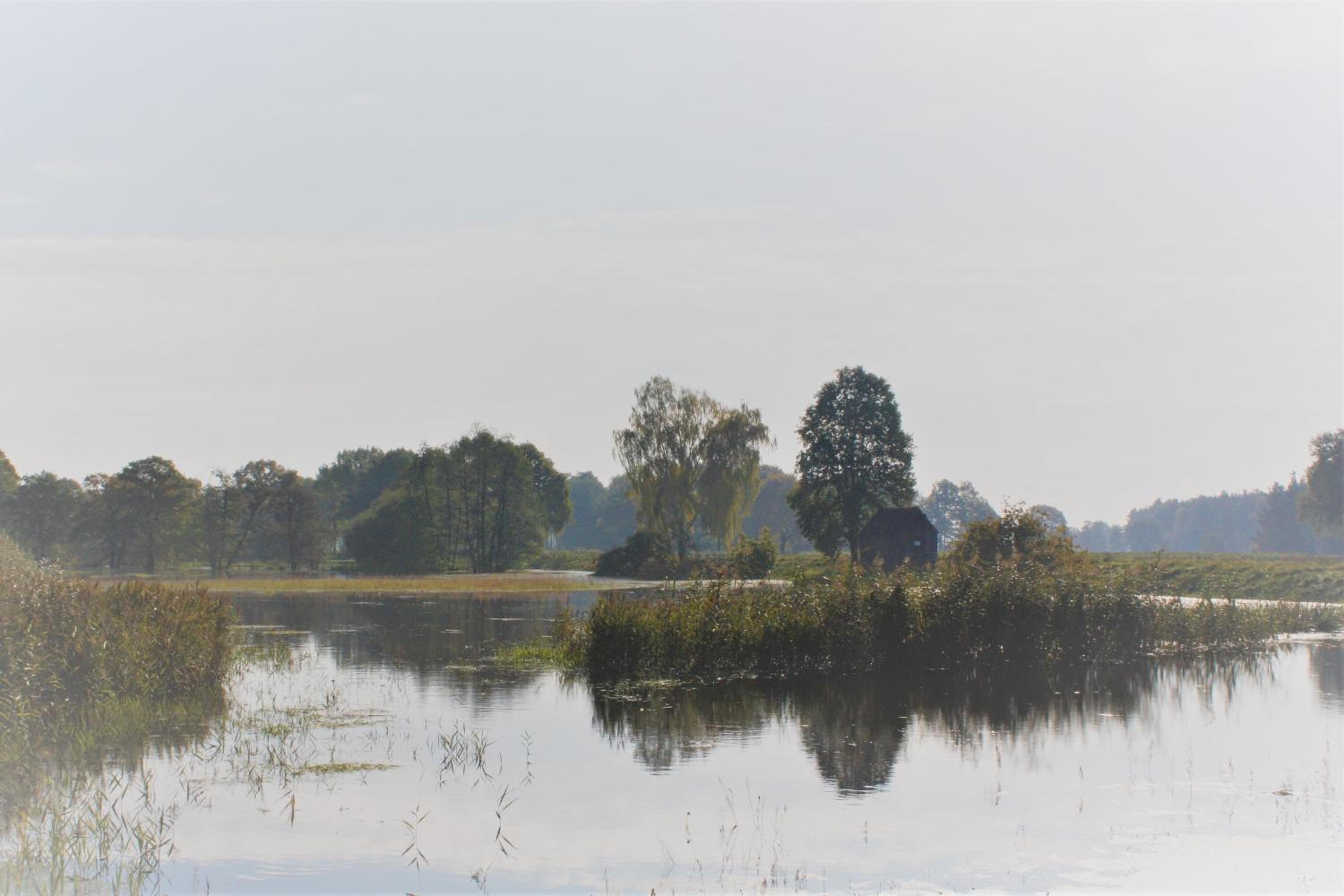 Gutshof Zum Adlernest