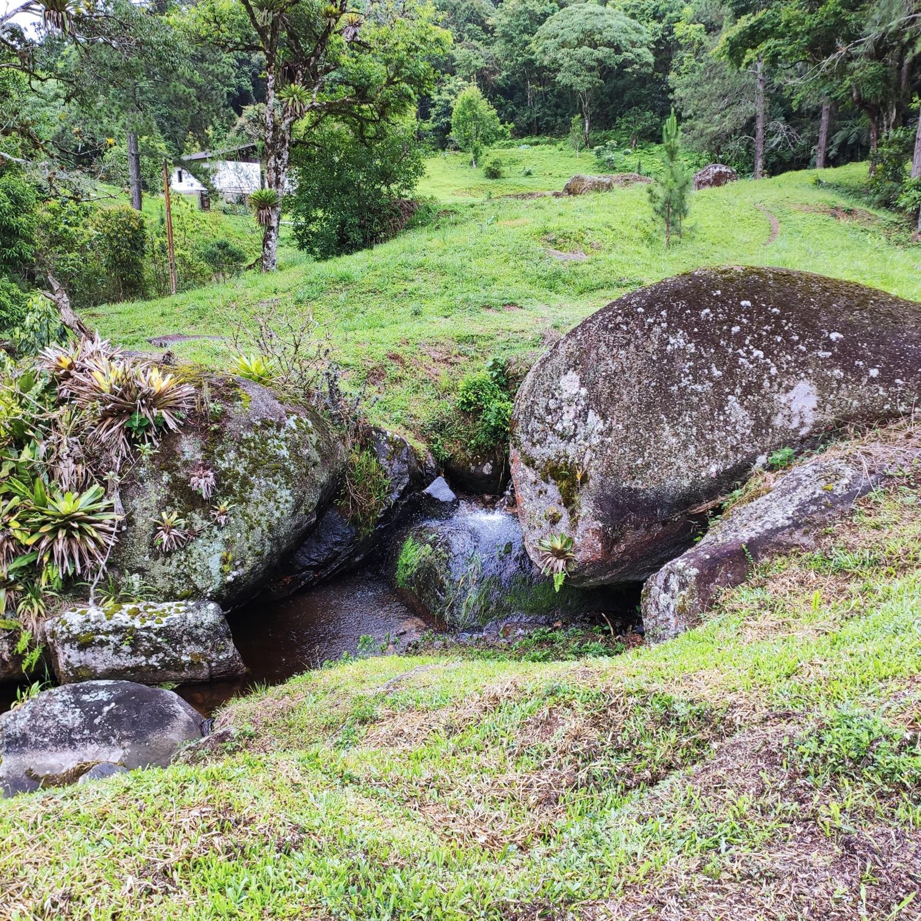 Sitio na Serra da Mantiqueira Águas do Canjarana