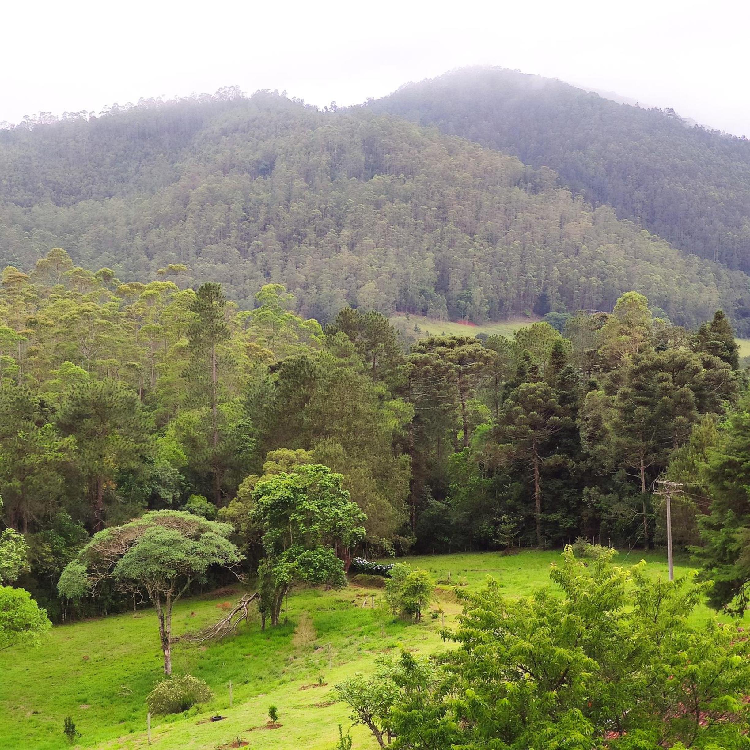 Sitio na Serra da Mantiqueira Águas do Canjarana