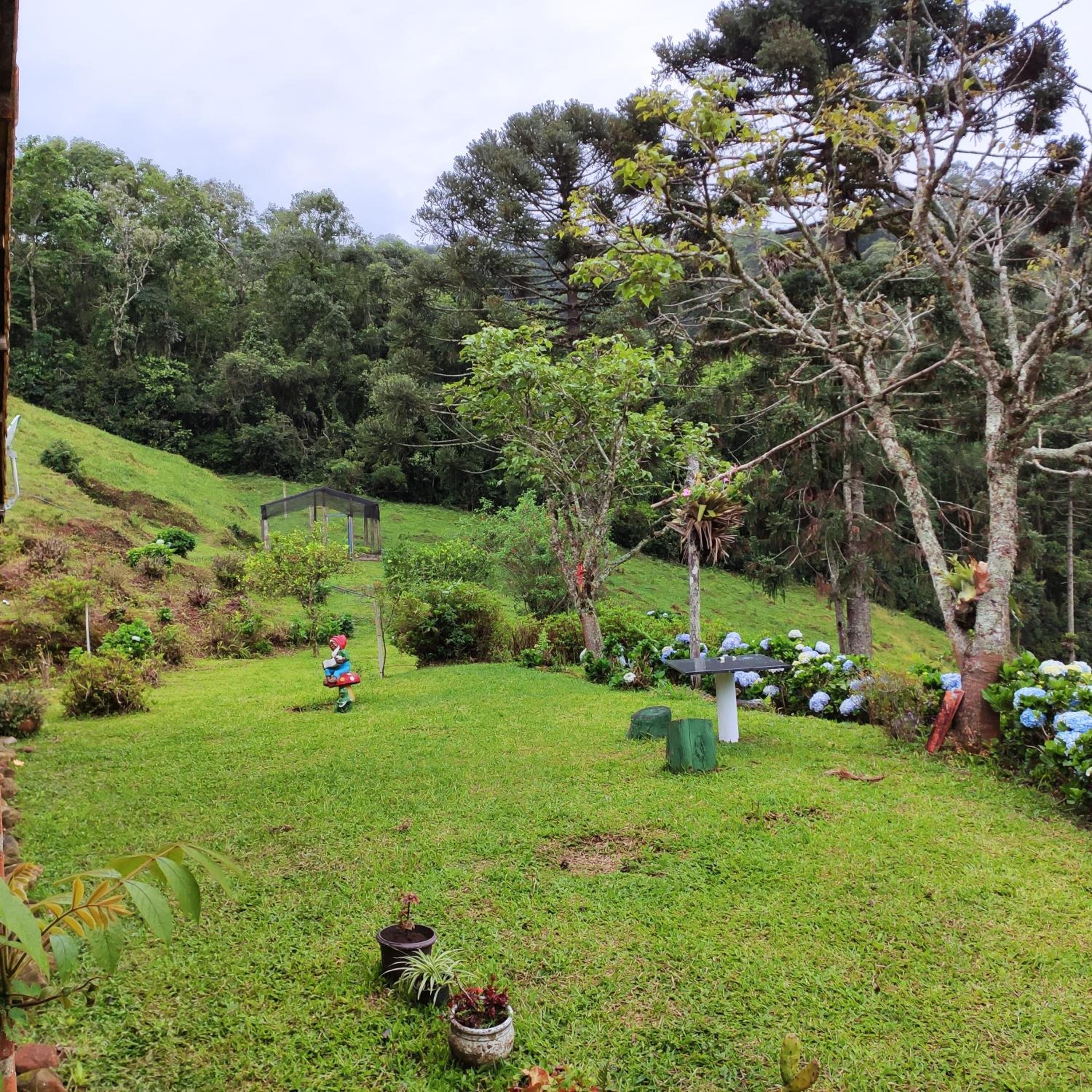 Sitio na Serra da Mantiqueira Águas do Canjarana