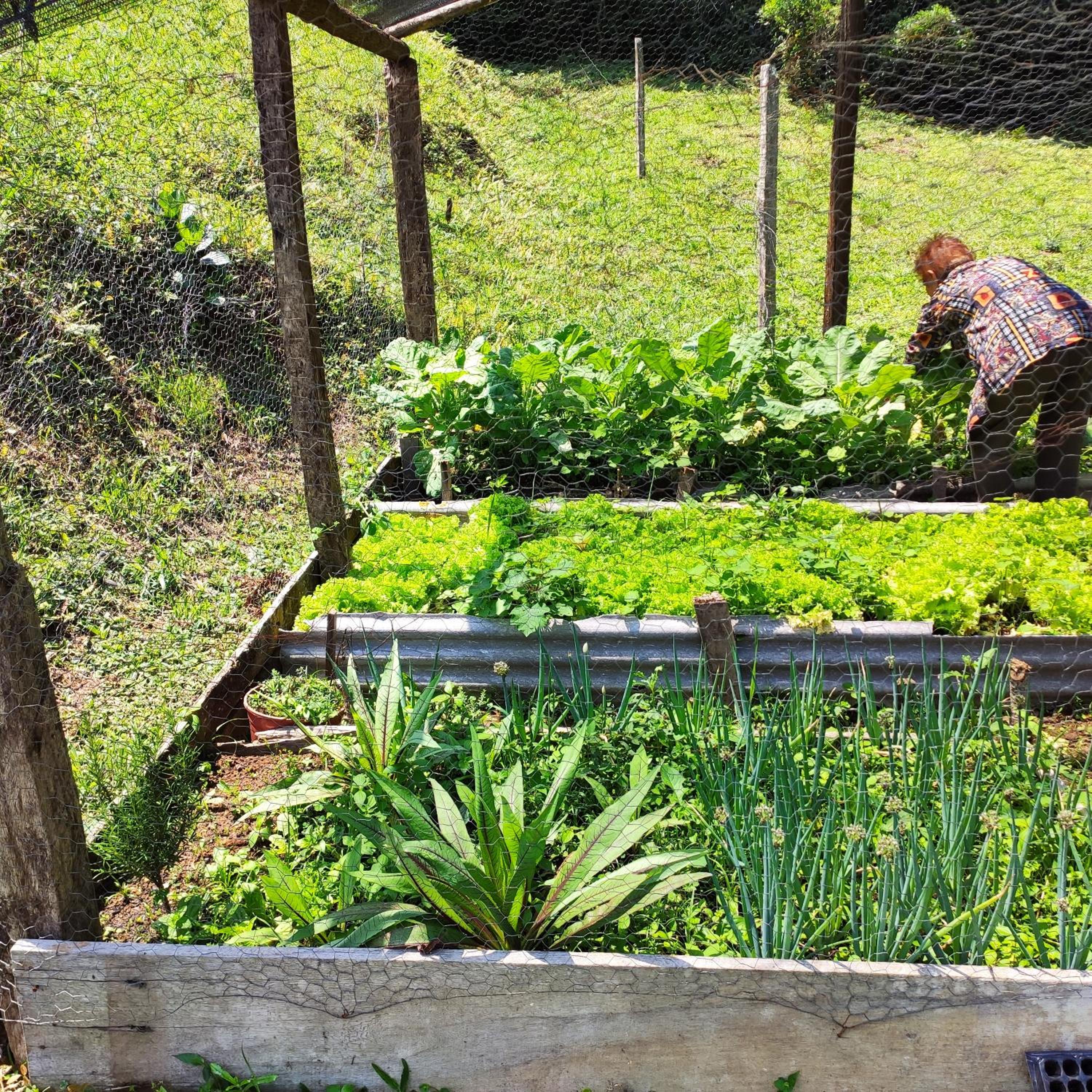 Sitio na Serra da Mantiqueira Águas do Canjarana
